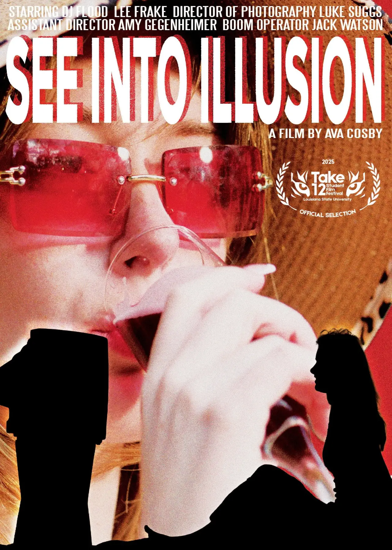 Movie poster "See Into Illusion"