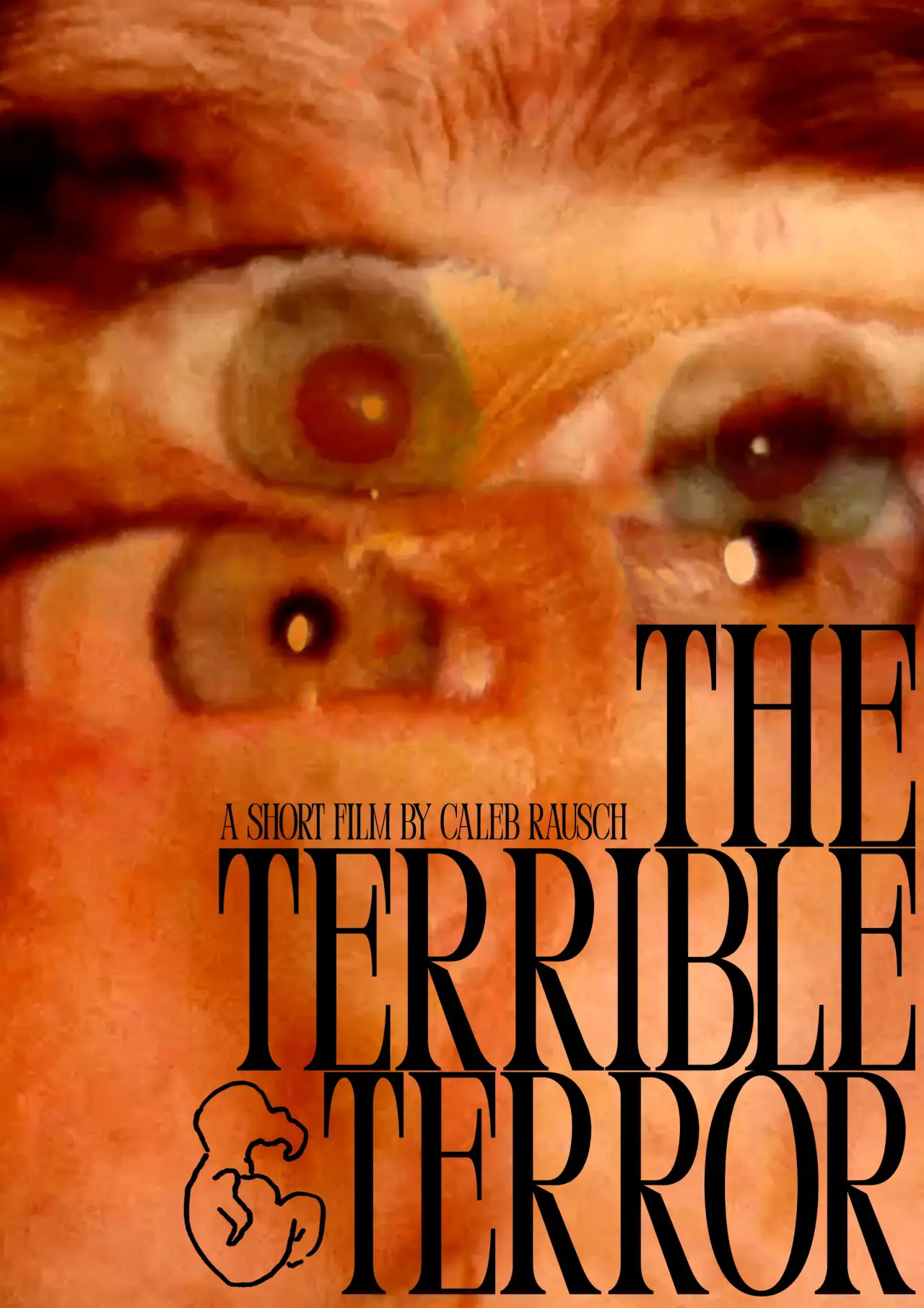 Movie poster "The Terrible Terror"