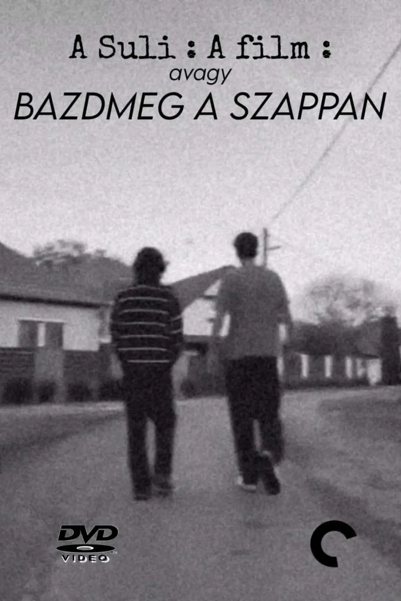 Movie poster "The School: The Movie or damnthesoap"