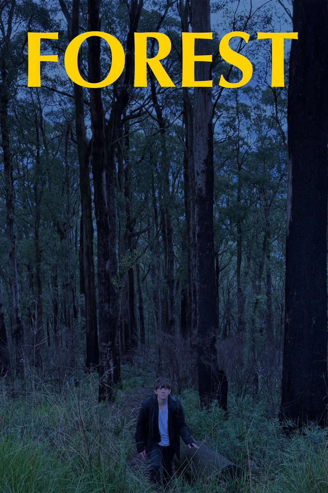 Movie poster "FOREST"