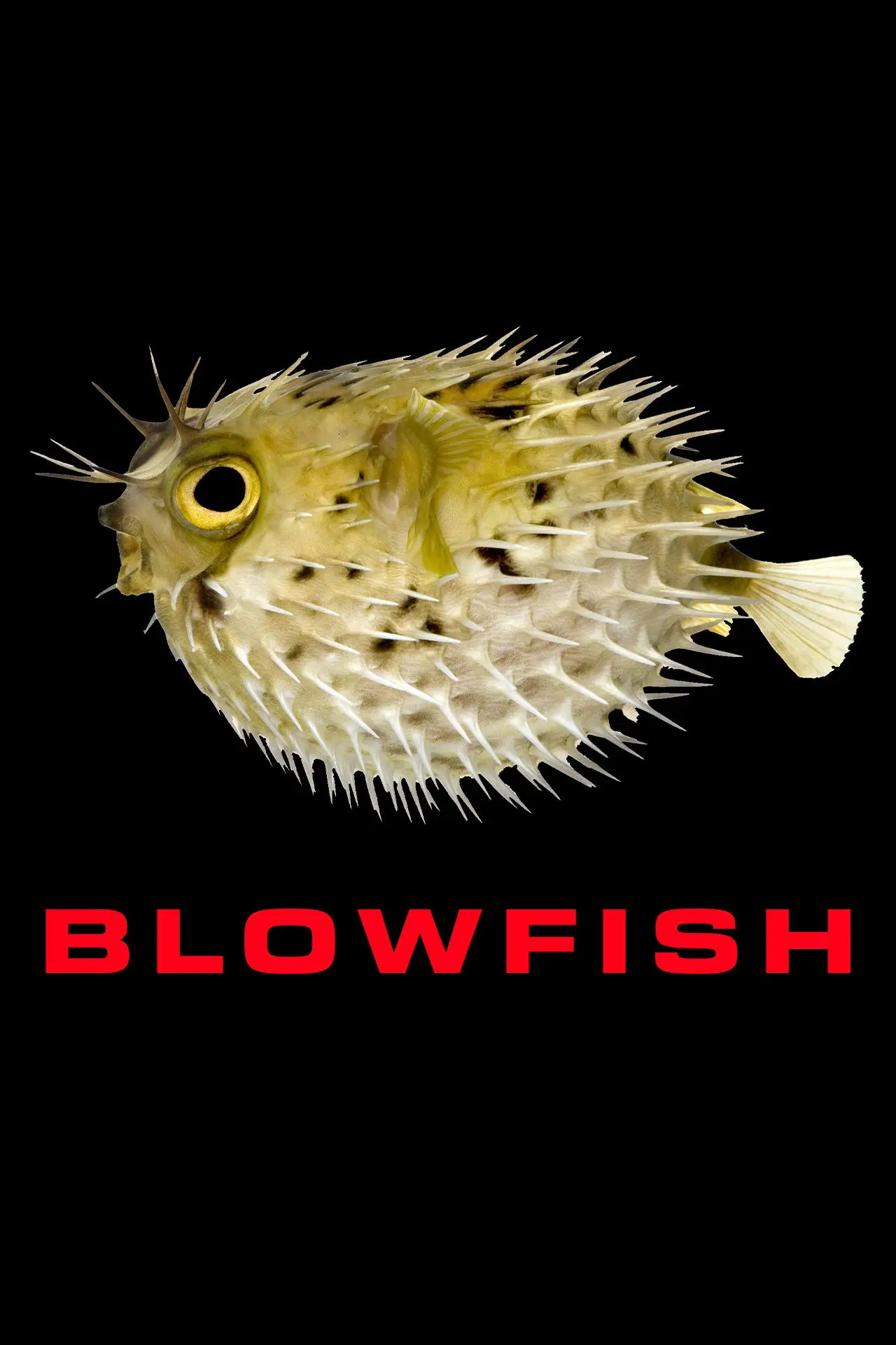 Movie poster "Blowfish"