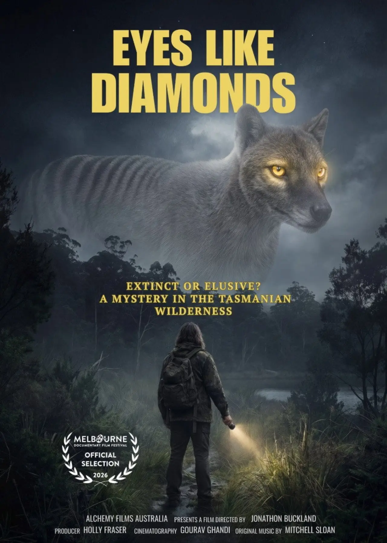 Movie poster "Eyes Like Diamonds"