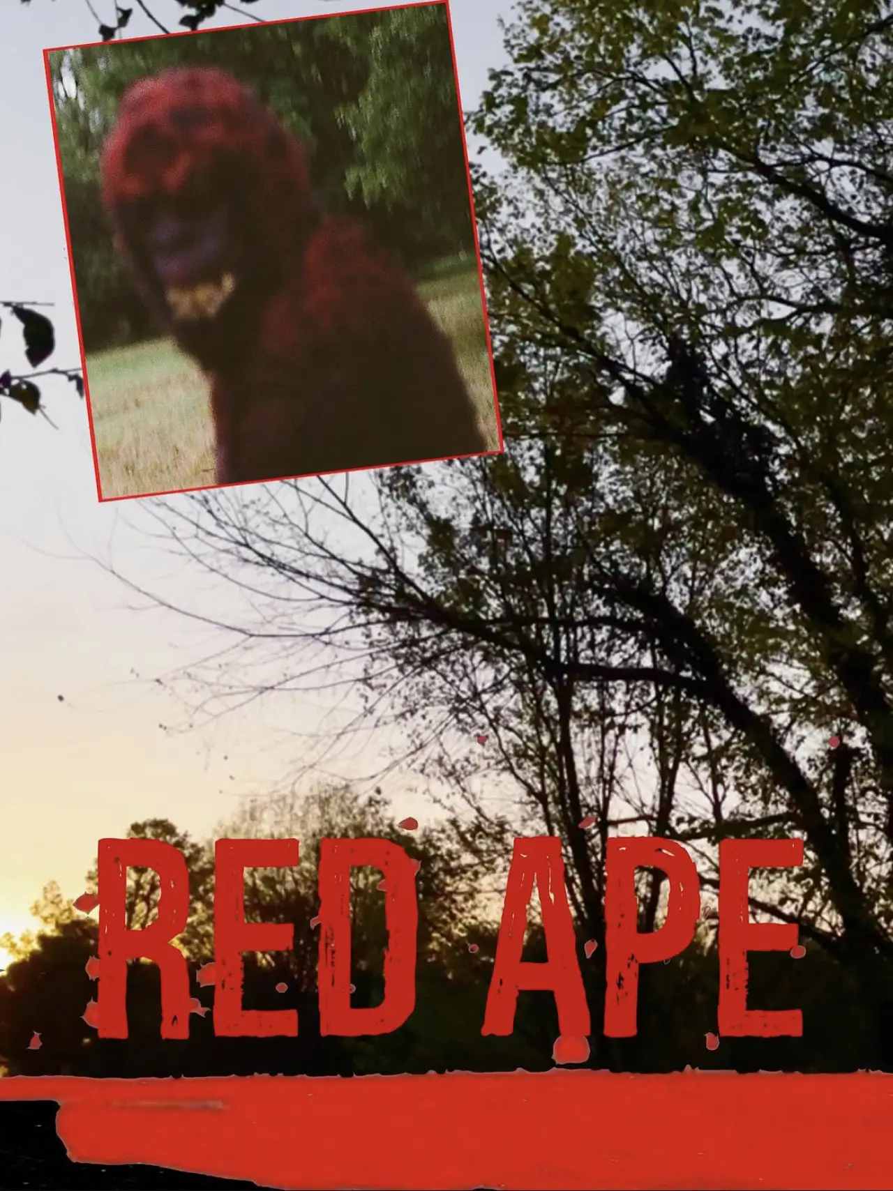 Movie poster "Red Ape"
