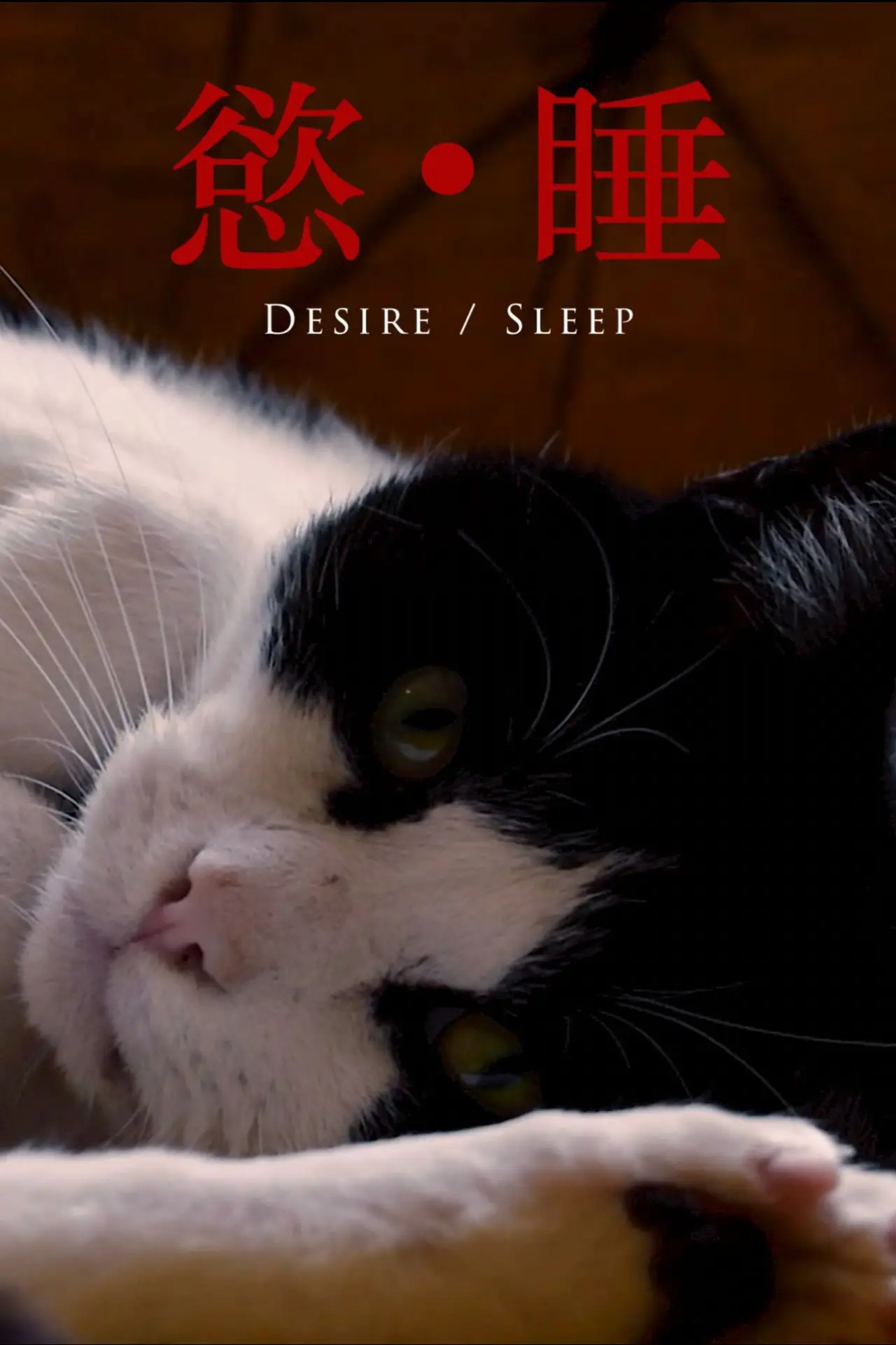 Movie poster "Desire/Sleep"