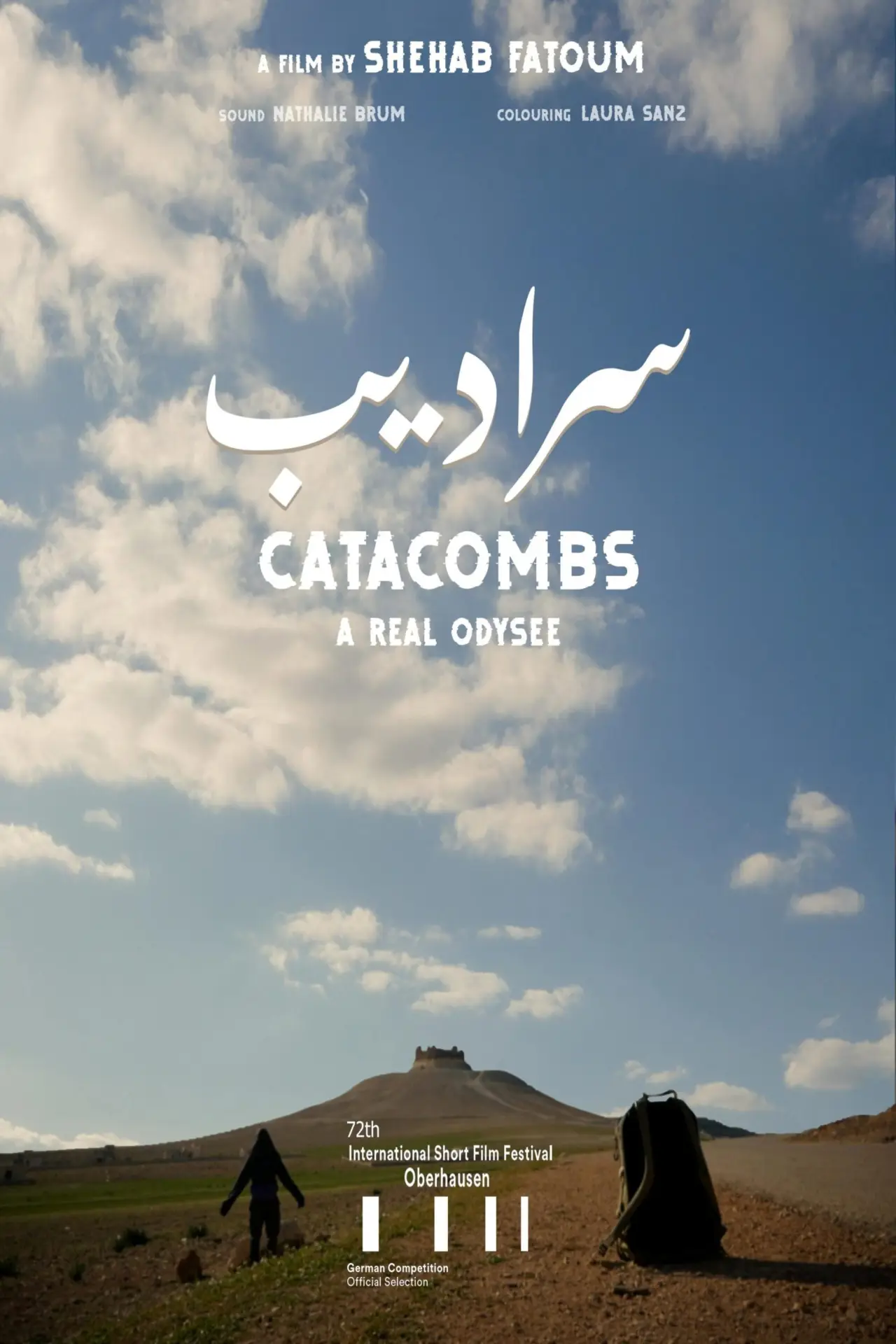 Movie poster "Catacombs"
