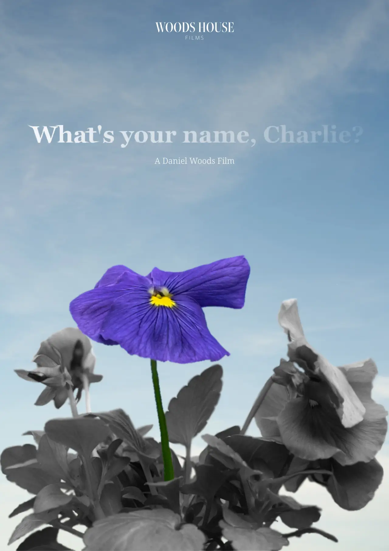 Movie poster "What
