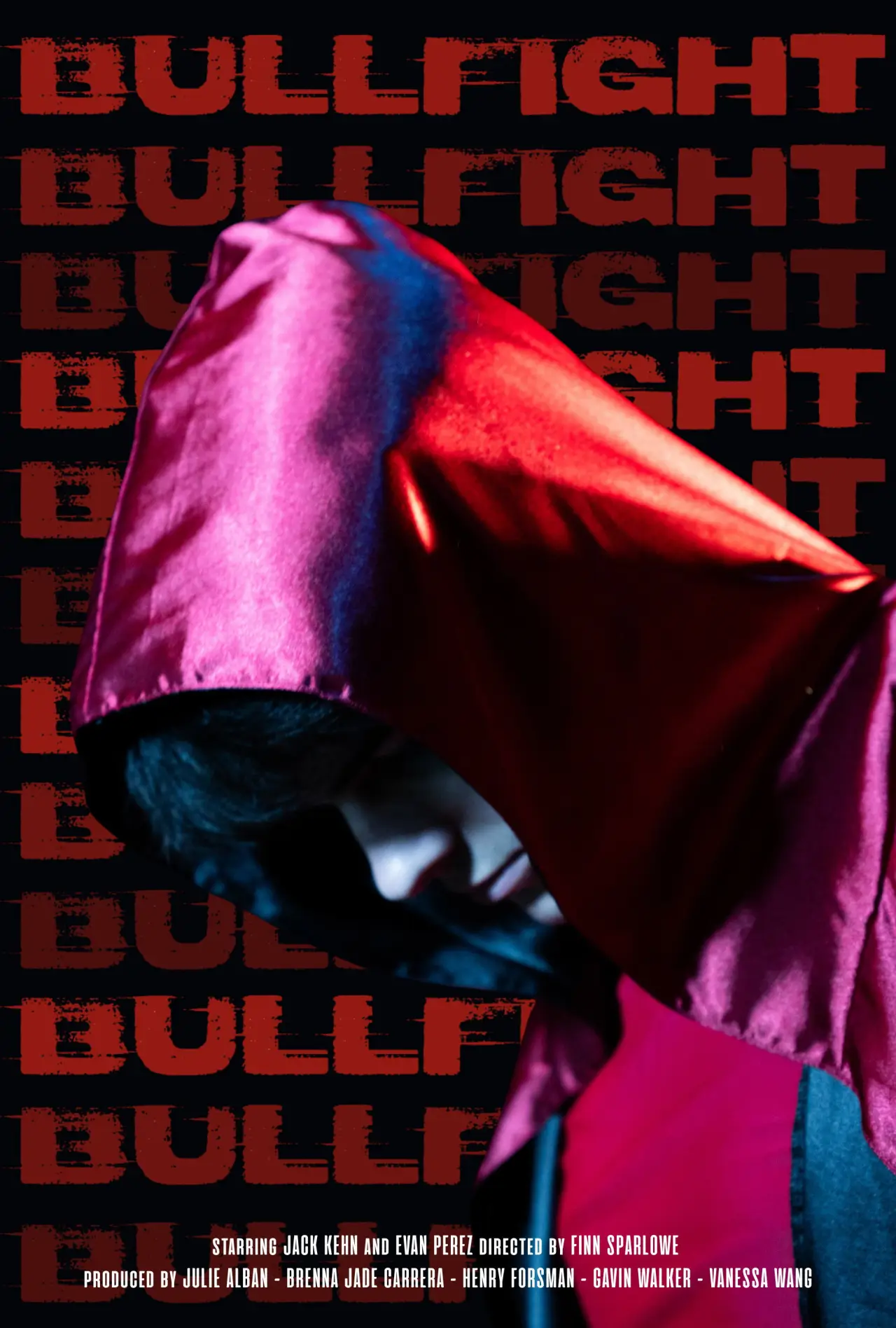 Movie poster "Untitled Wrestling Movie"
