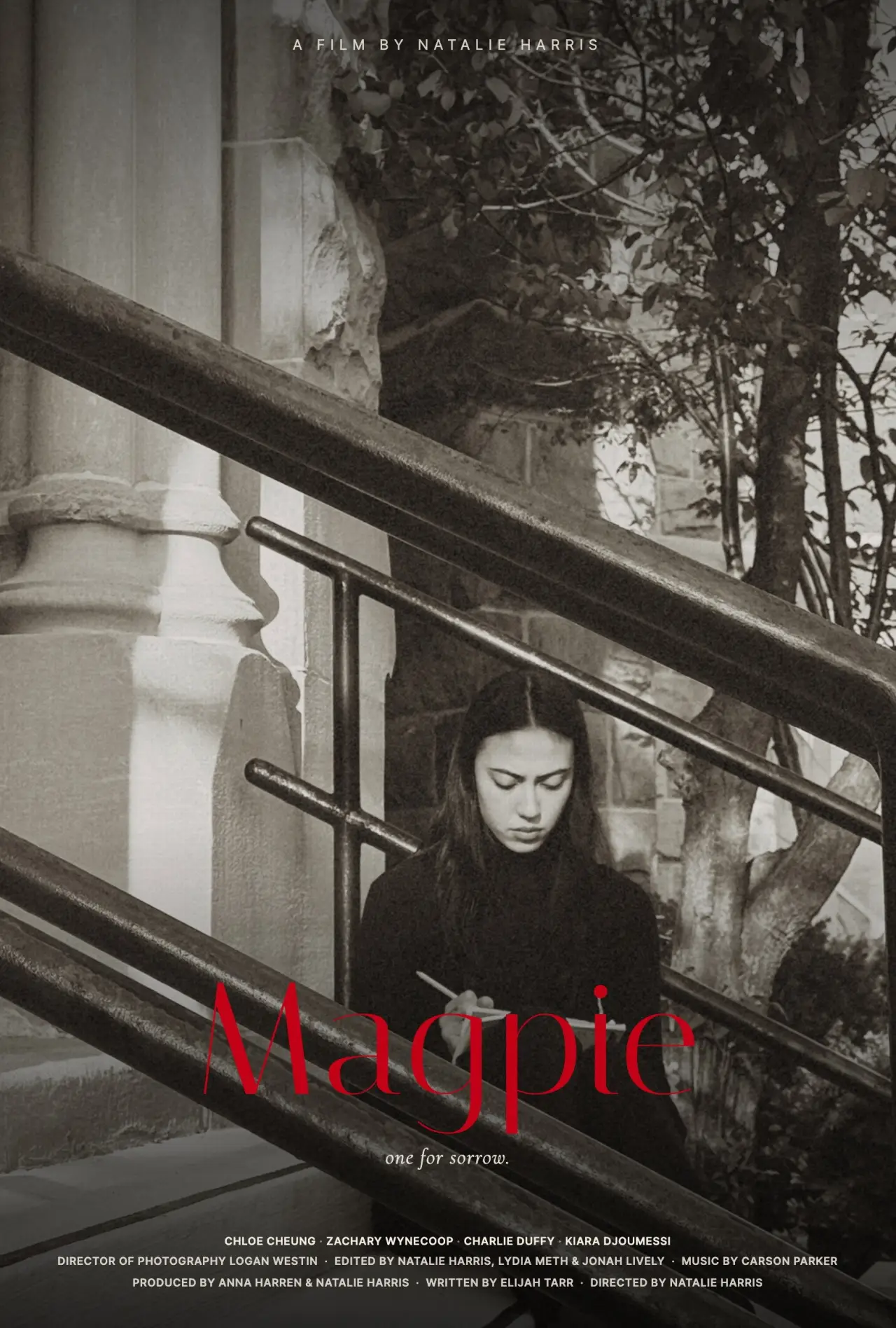 Movie poster "Magpie"