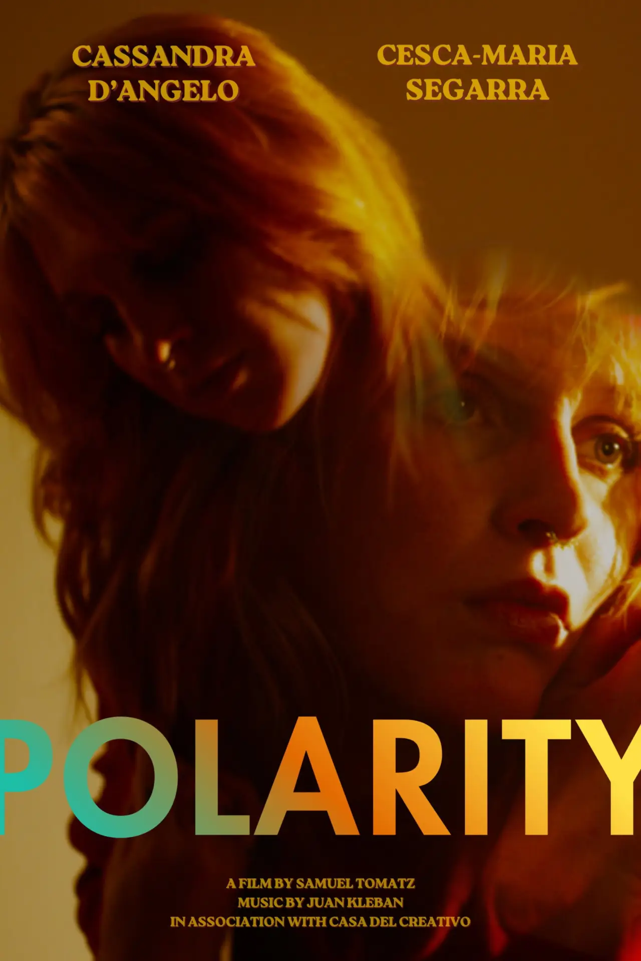 Movie poster "Polarity"