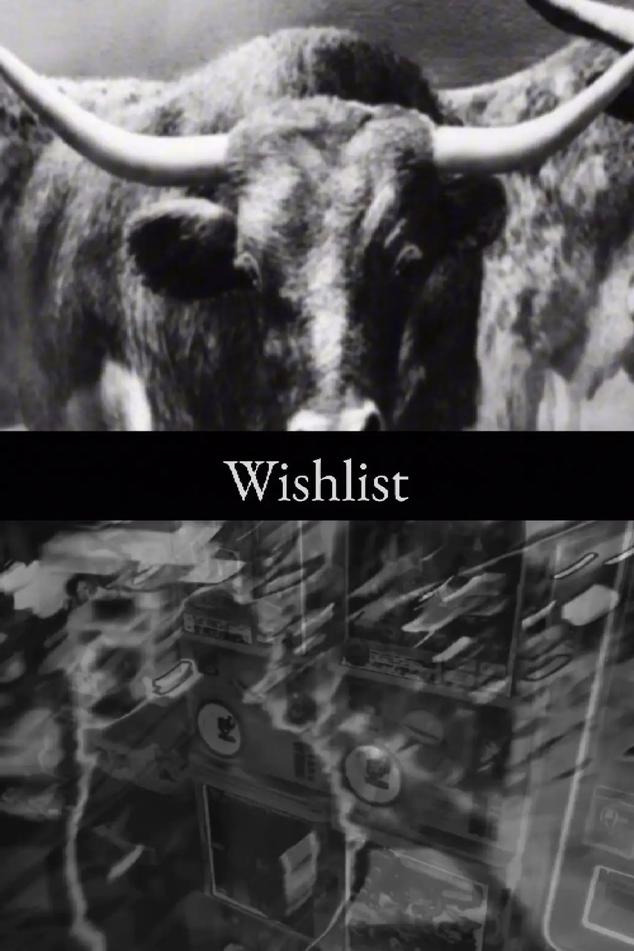 Movie poster "Wishlist"