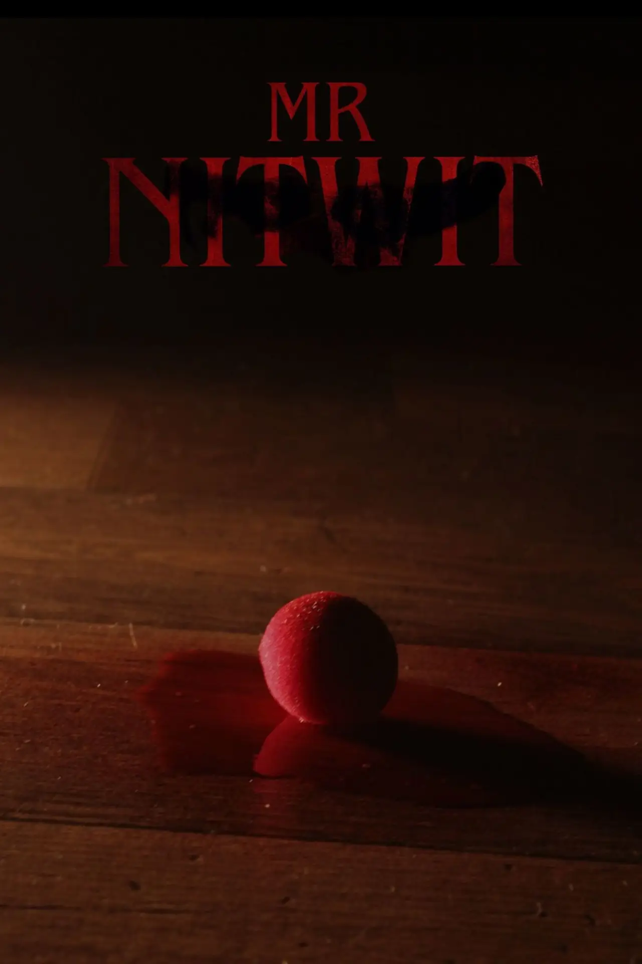 Movie poster "Mr Nitwit"