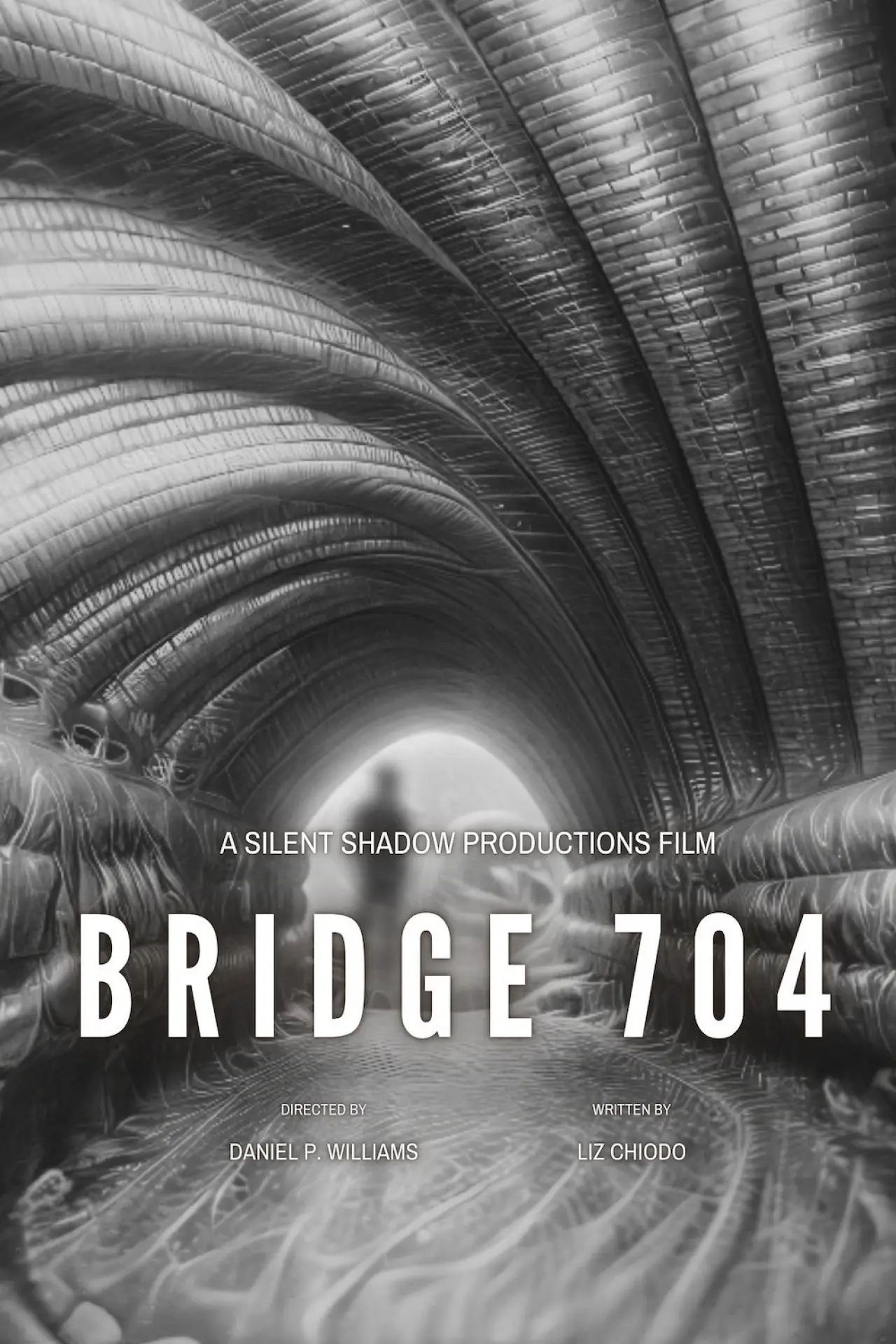Movie poster "Bridge 704"