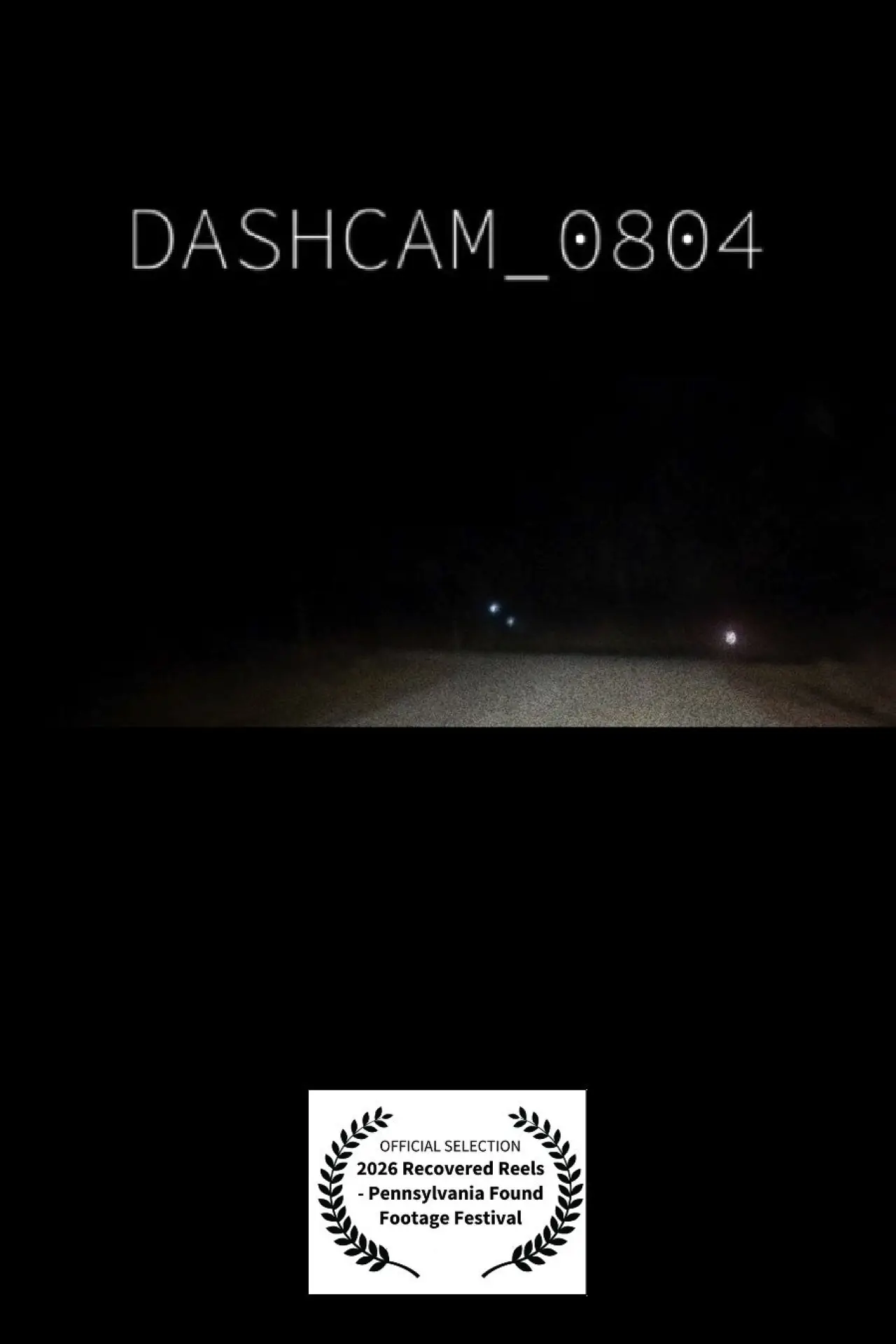Movie poster "dashcam_0804.mp4"