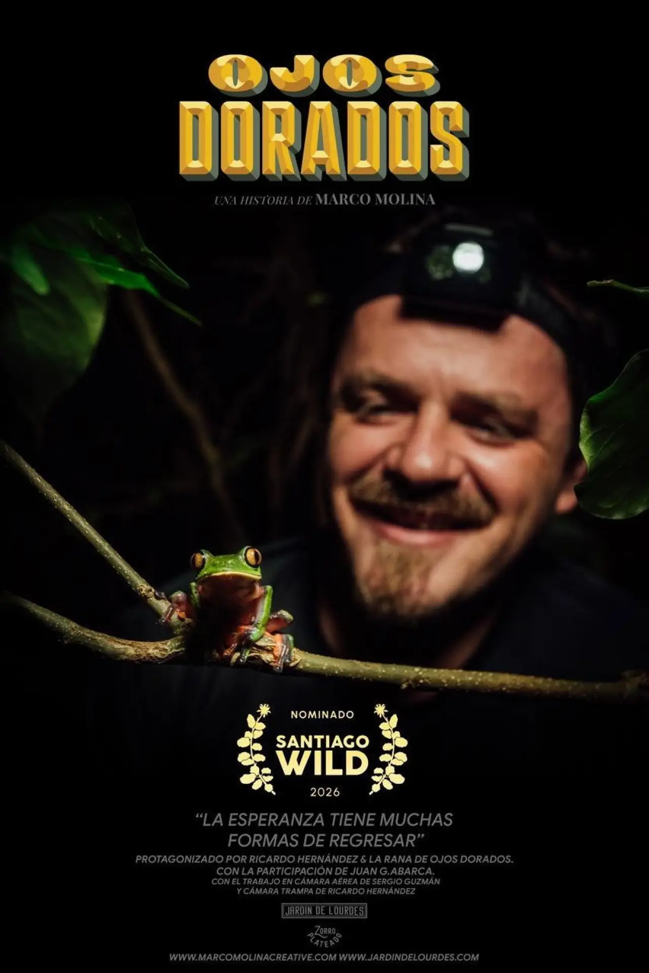 Movie poster "Golden Eyes"
