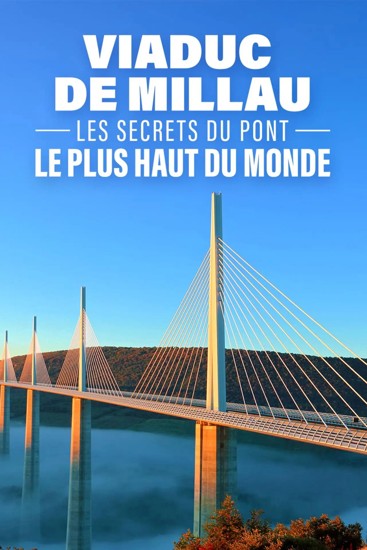 Movie poster "Viaduc de Millau les secrets du pont le plus haut du monde"