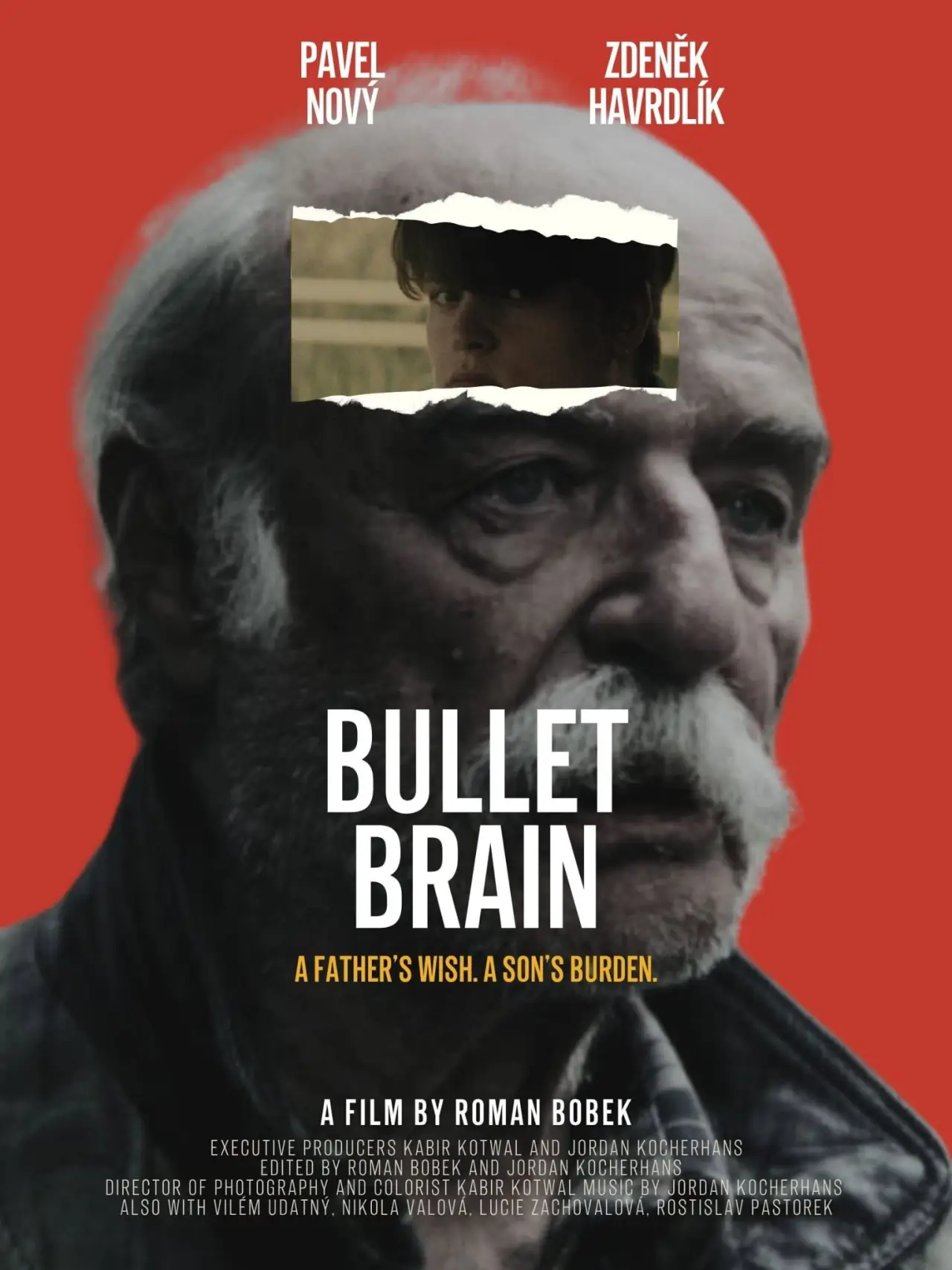 Movie poster "Bullet Brain"