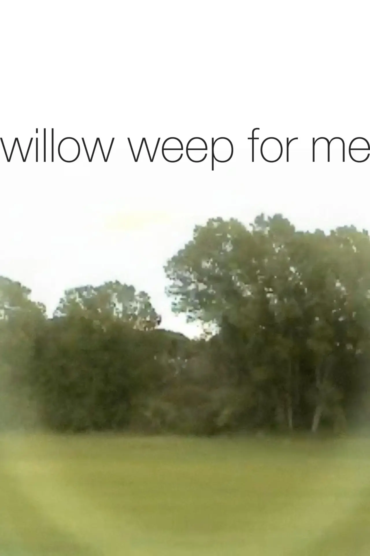 Movie poster "willow weep for me"
