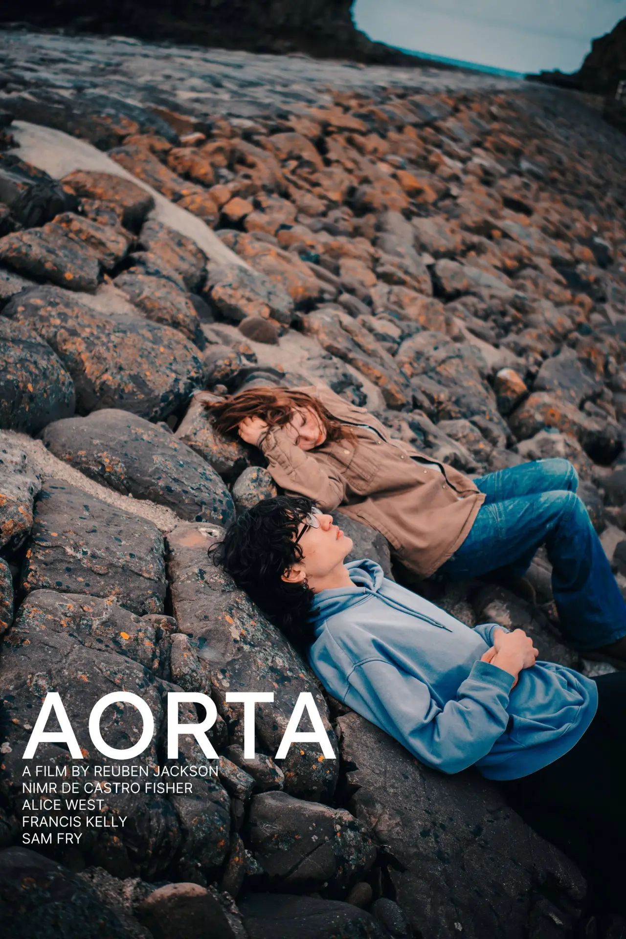 Movie poster "AORTA"
