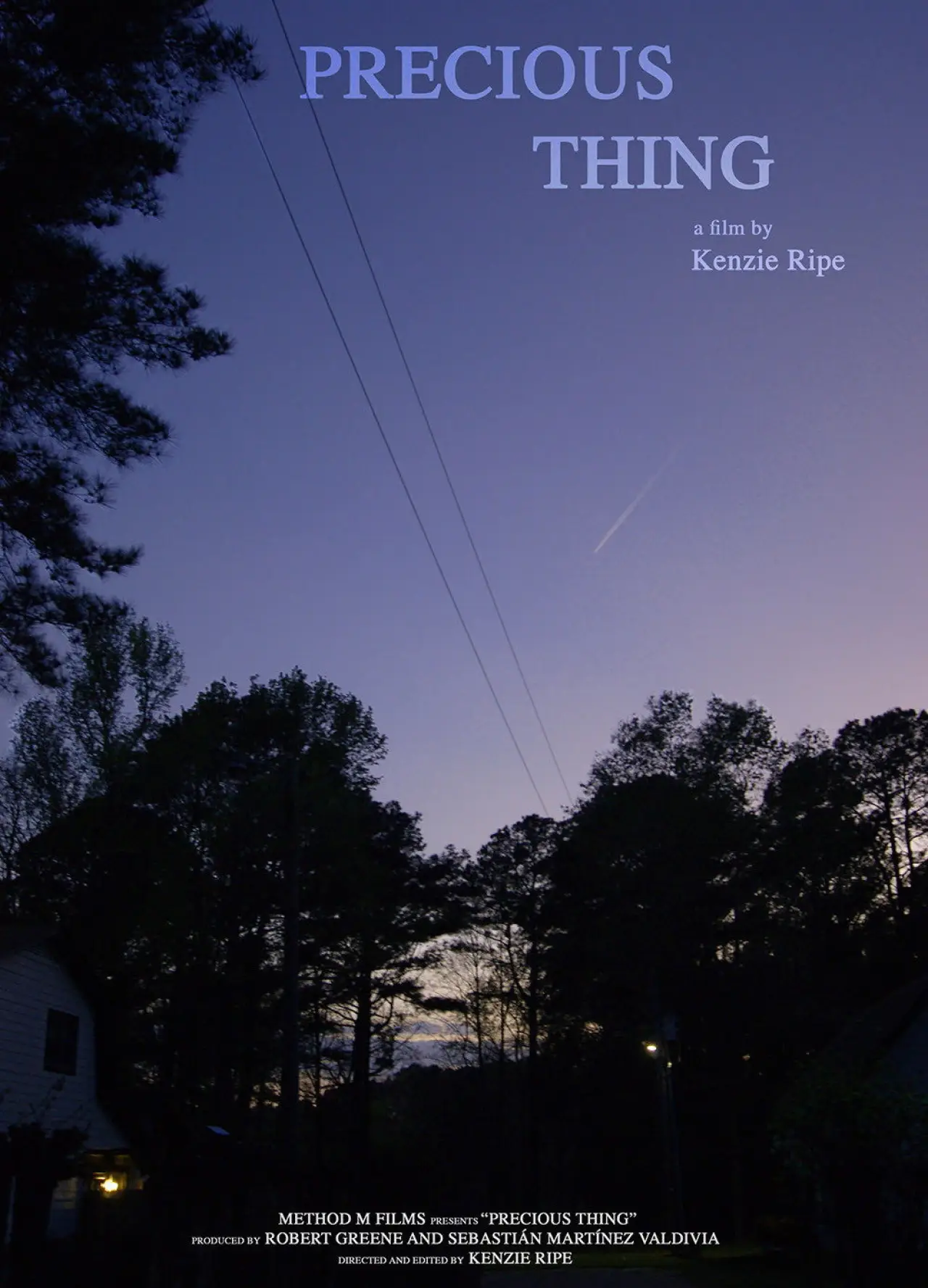 Movie poster "Precious Thing"