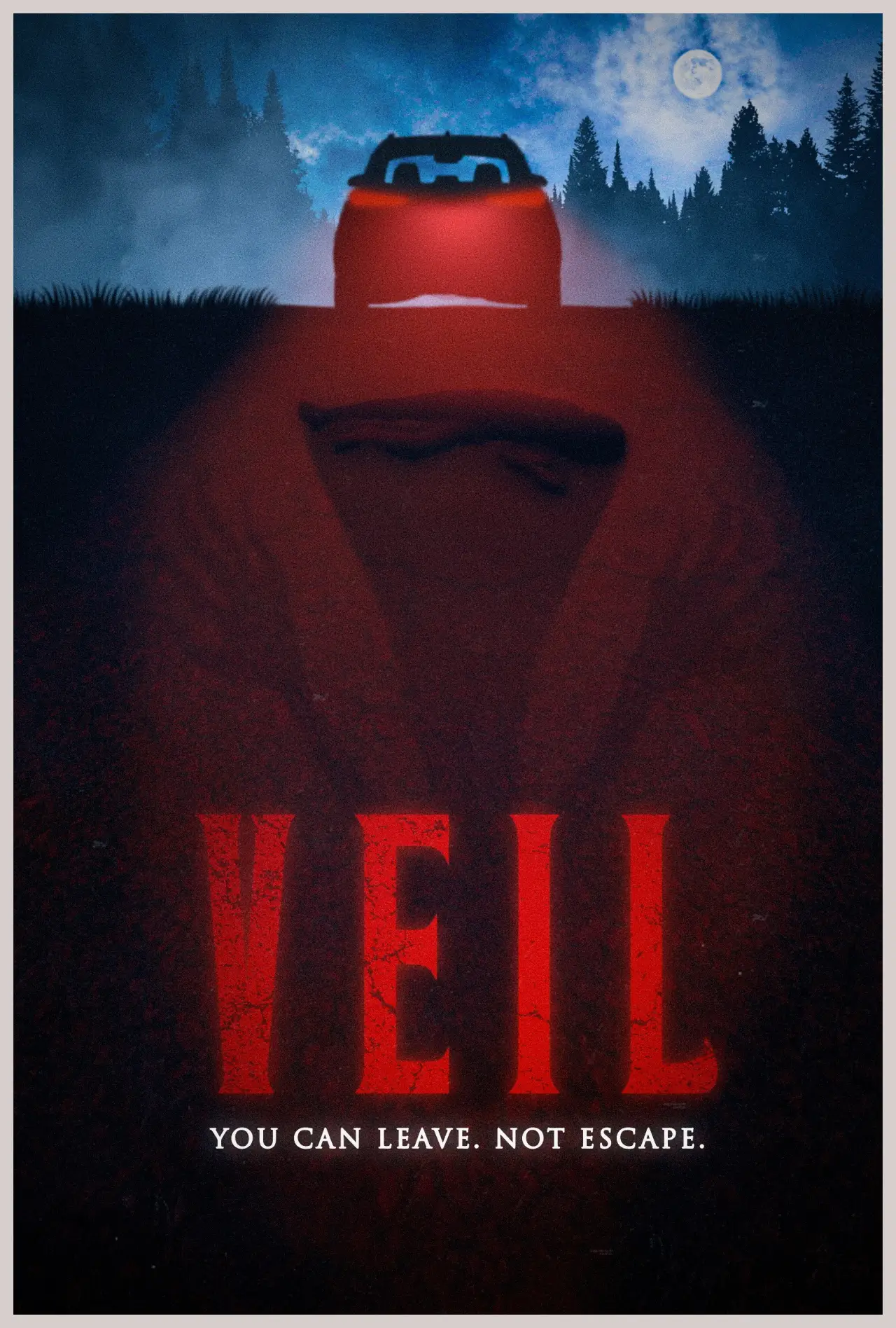 Movie poster "VEIL"