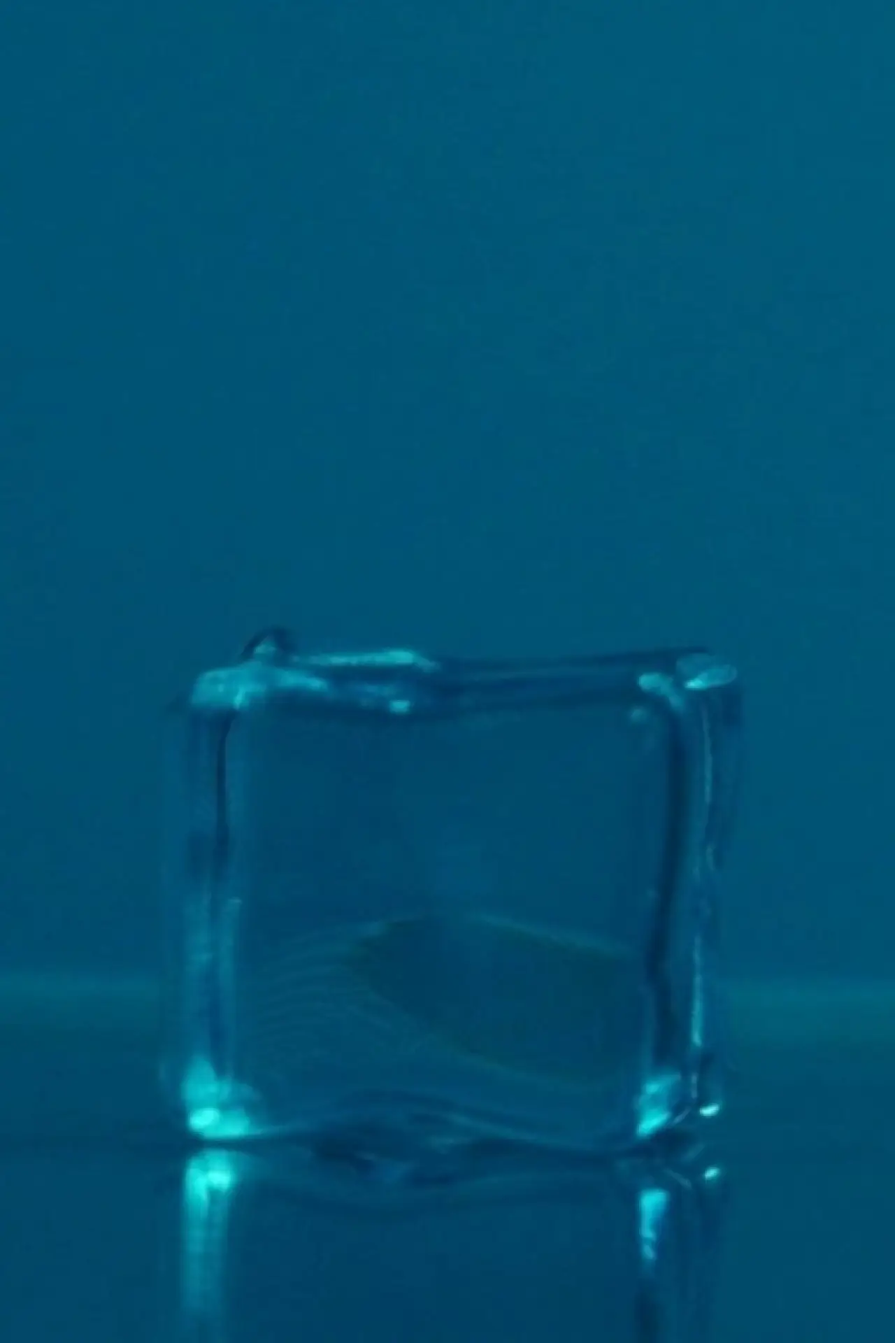 Movie poster "The shape of dead ICE"