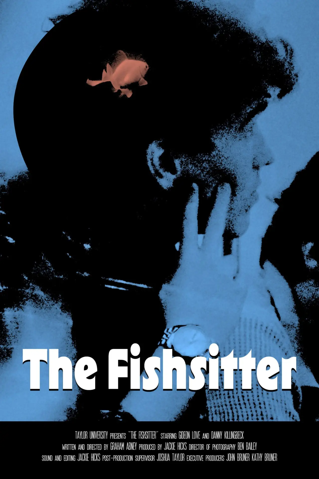 Movie poster "The Fishsitter"
