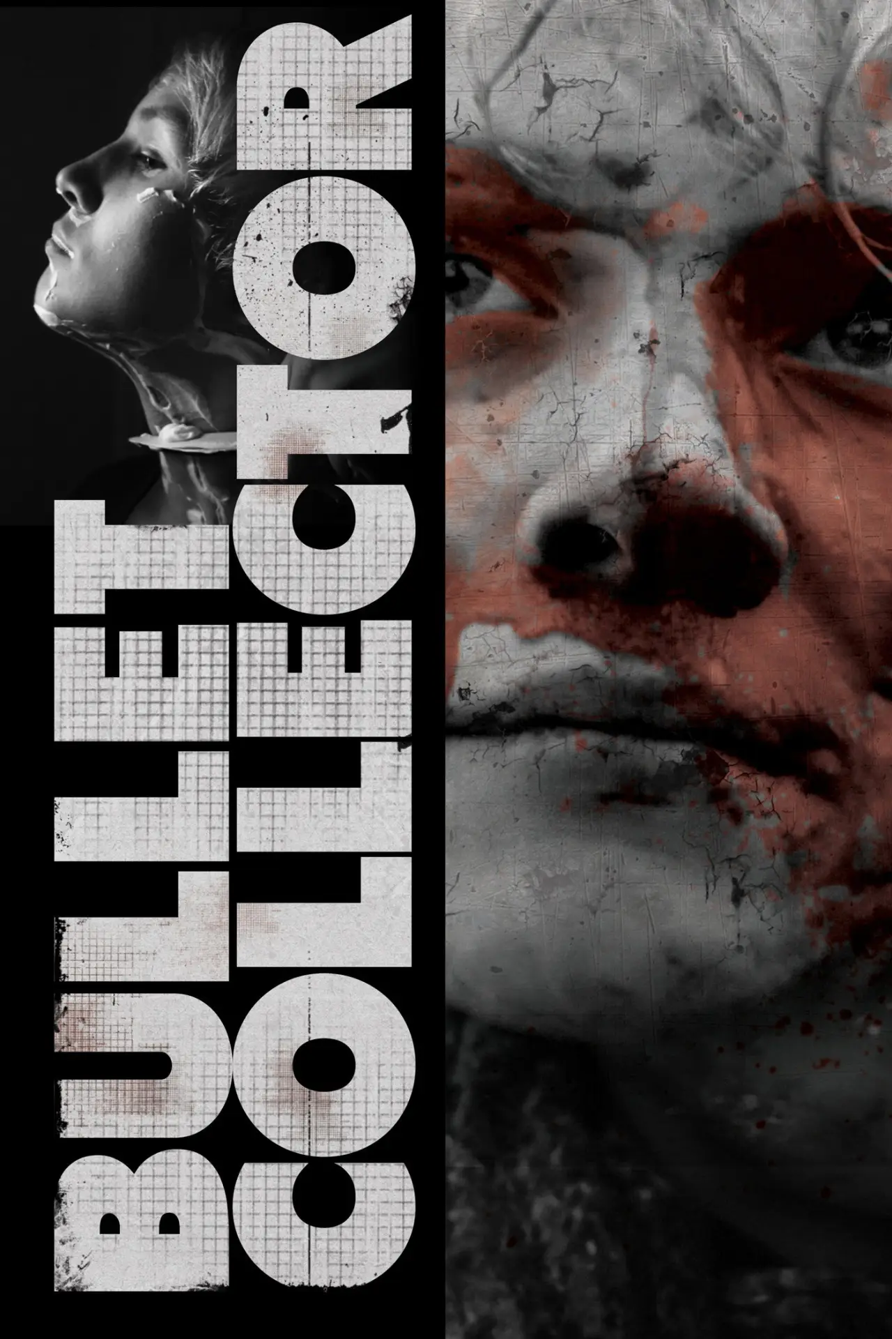 Movie poster "Bullet Collector"