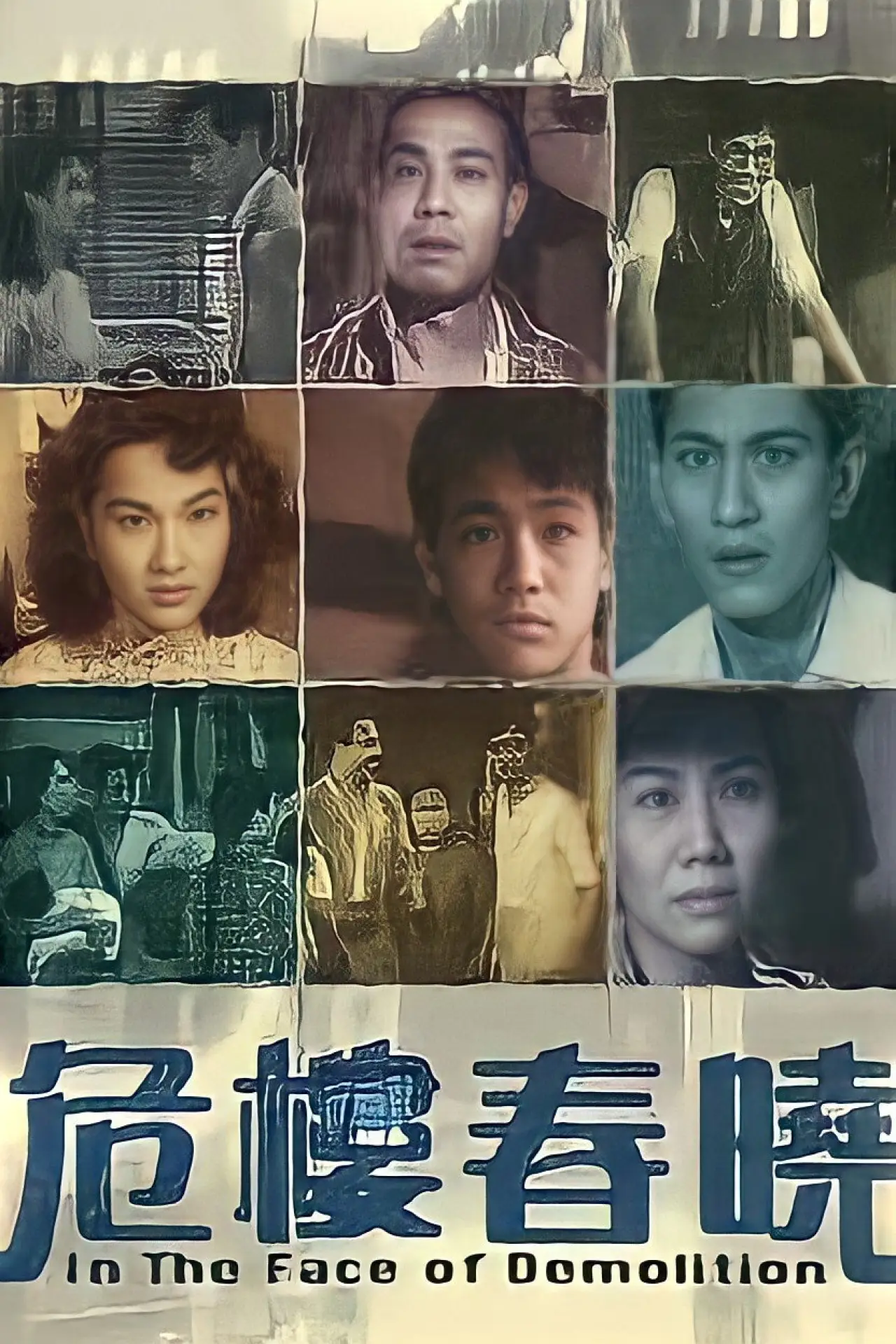 Movie poster "In the Face of Demolition"