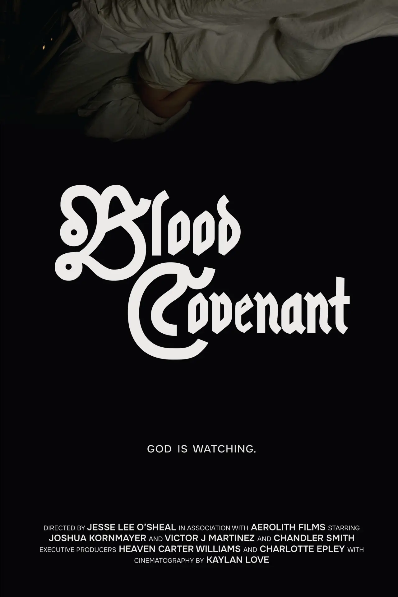 Movie poster "Blood Covenant"