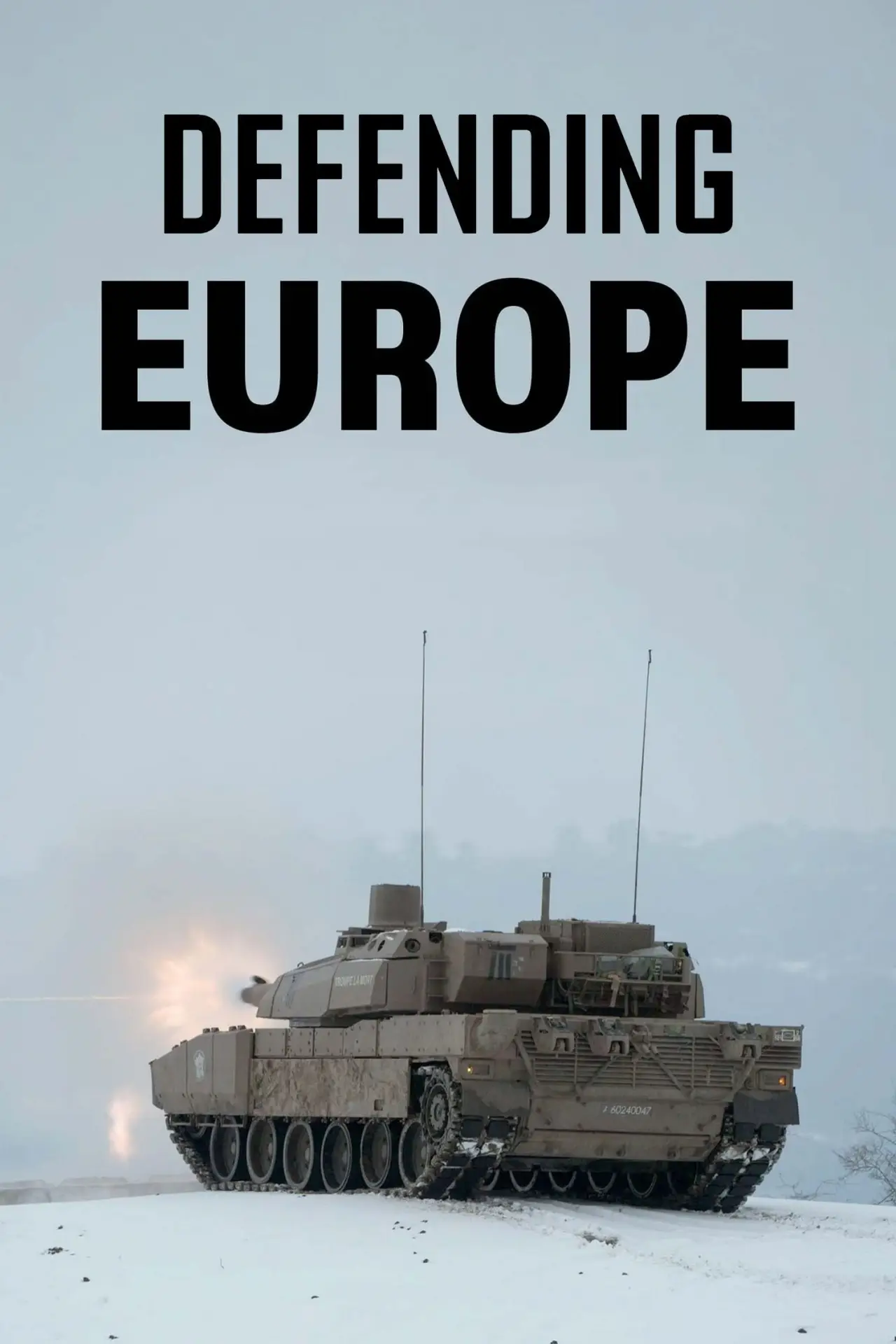 Movie poster "Europe, le choix des armes"