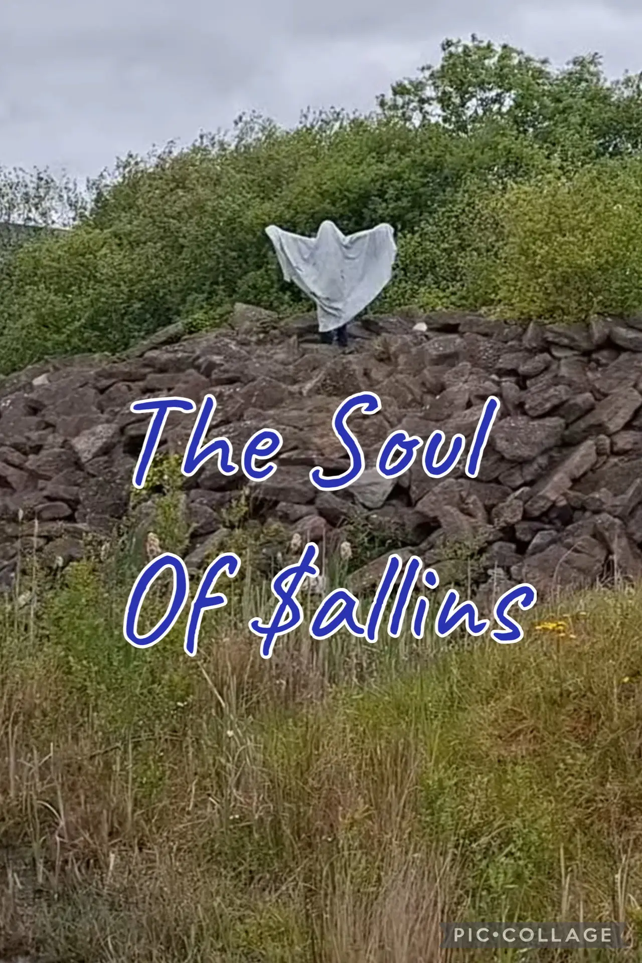 Movie poster "The Soul Of Sallins"
