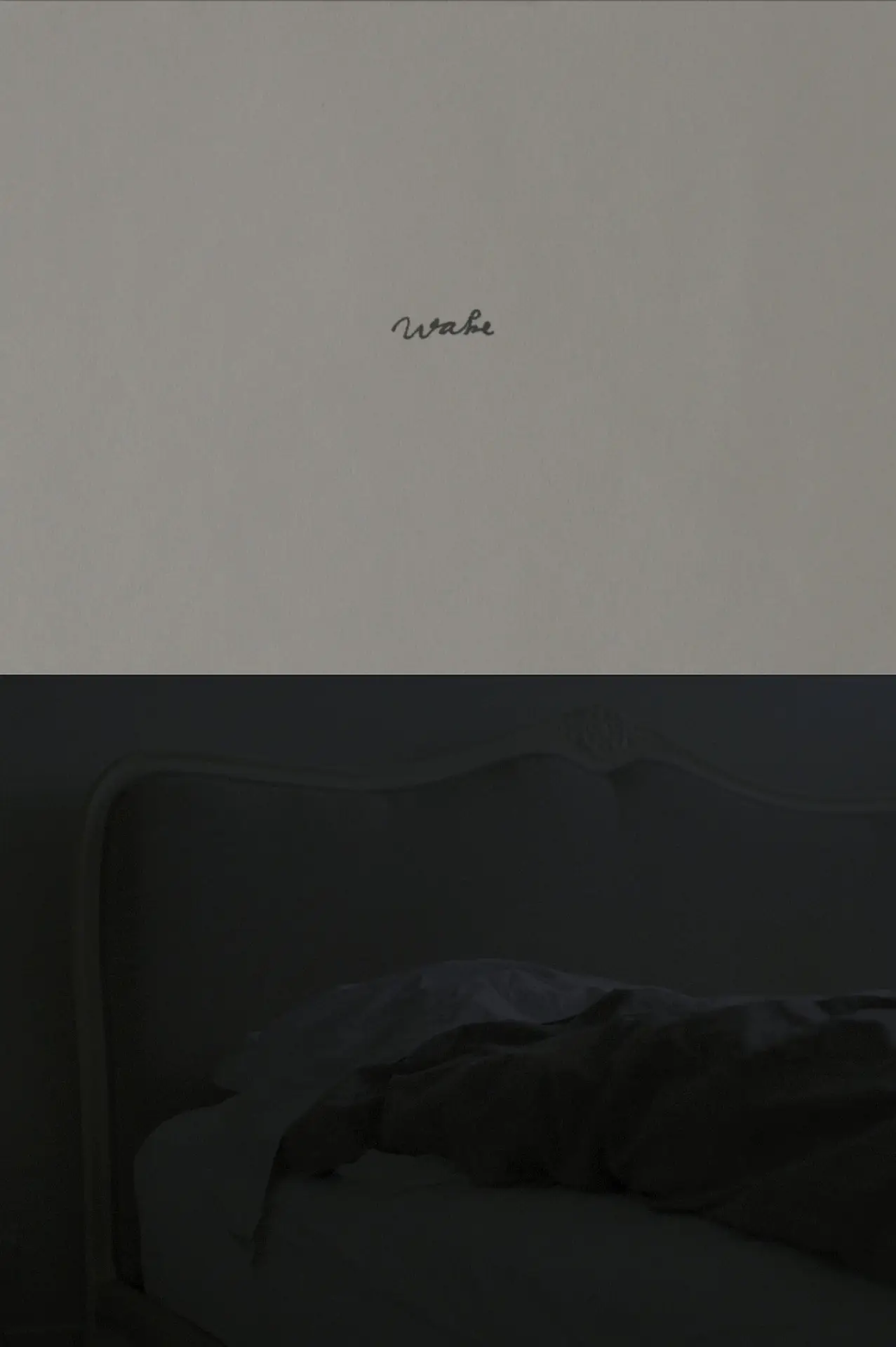 Movie poster "Wake"