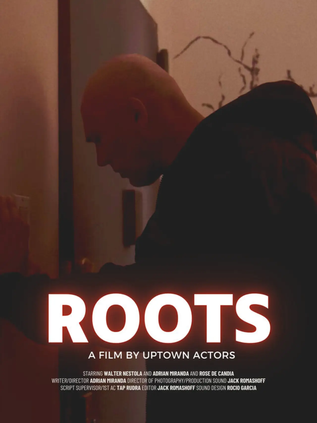 Movie poster "Roots"