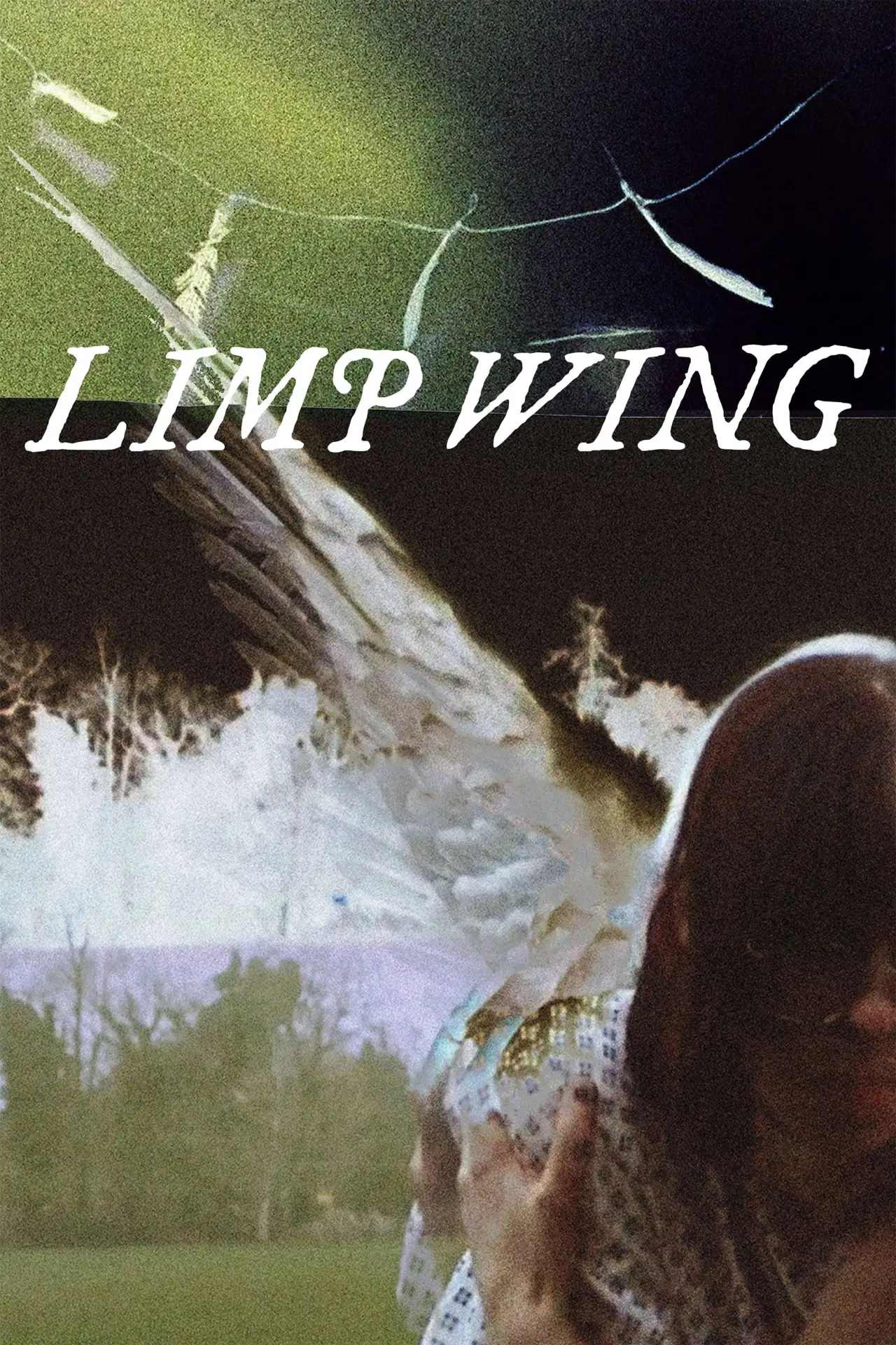 Movie poster "Limp Wing"