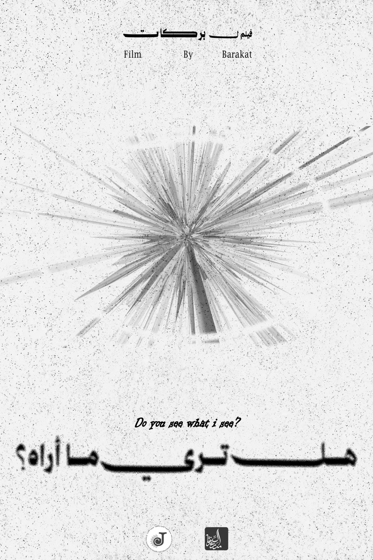 Movie poster "Do you see what i see?"