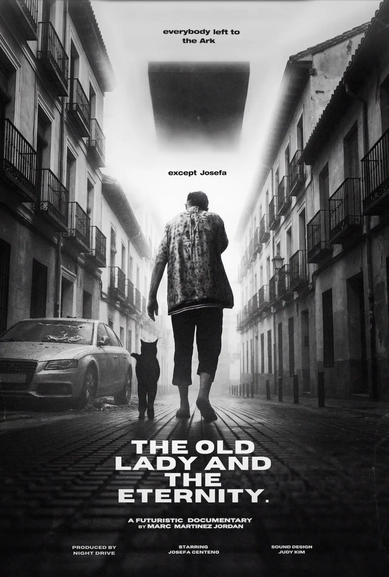 Movie poster "The old Lady and the Eternity"