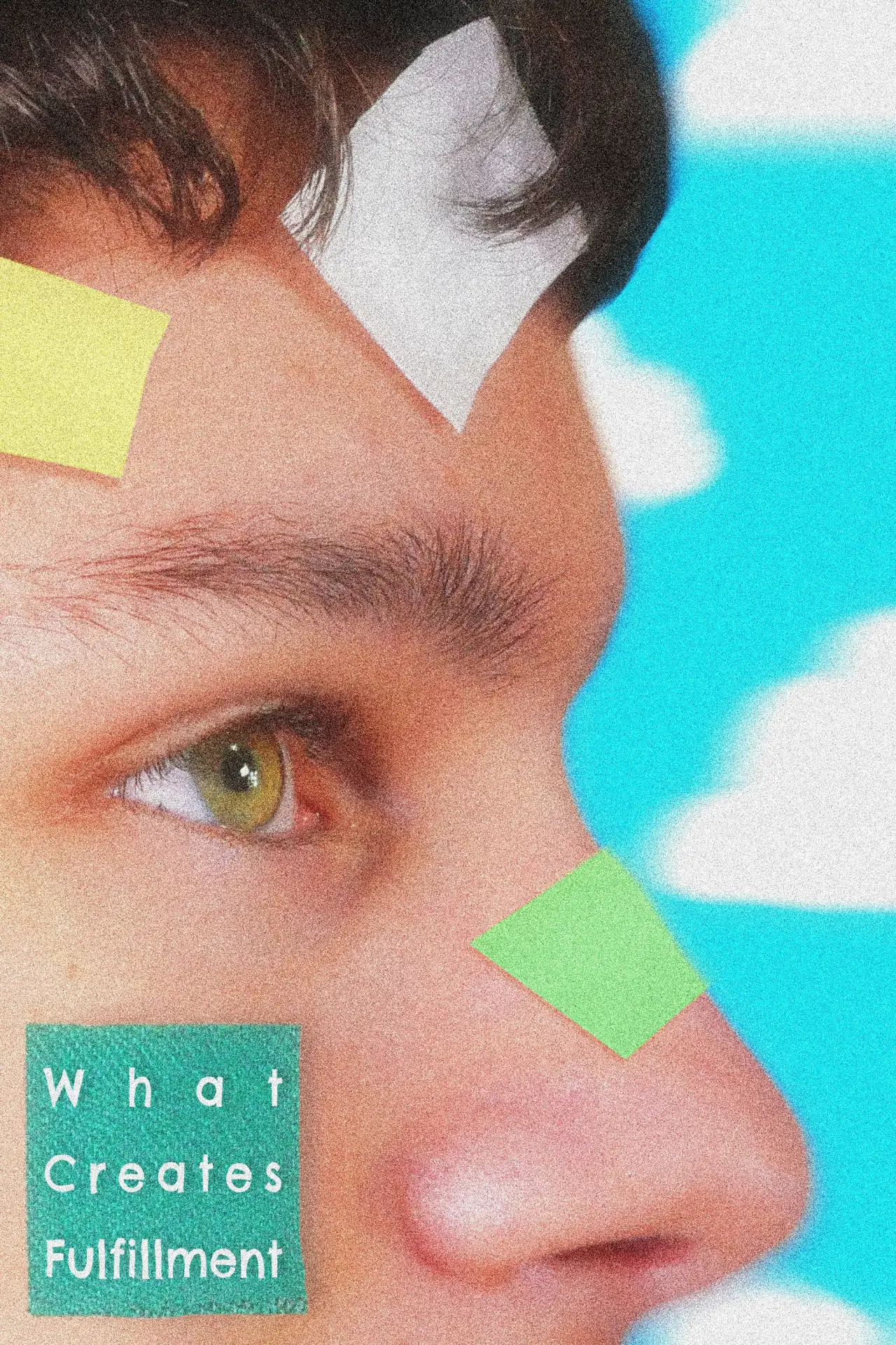 Movie poster "What Creates Fulfillment"