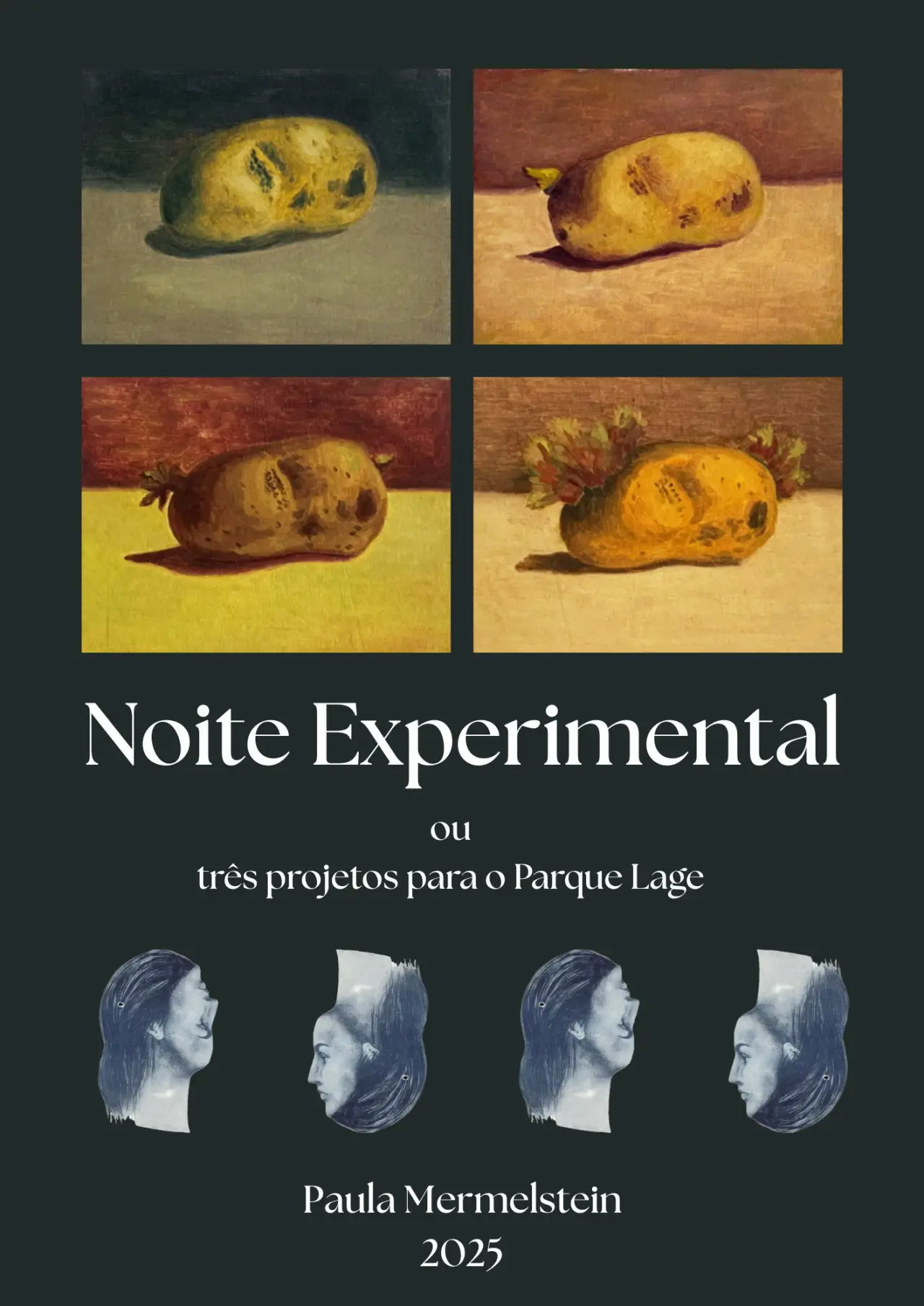 Movie poster "Noite Experimental"
