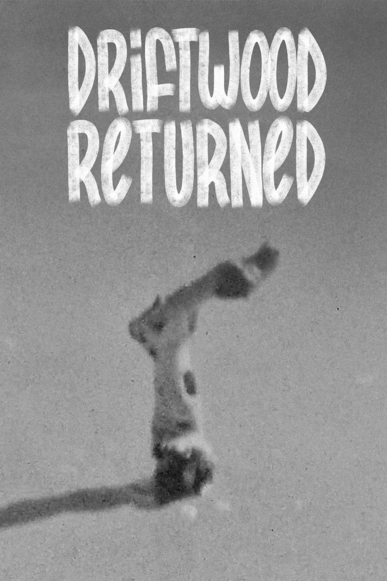 Movie poster "Driftwood Returned"