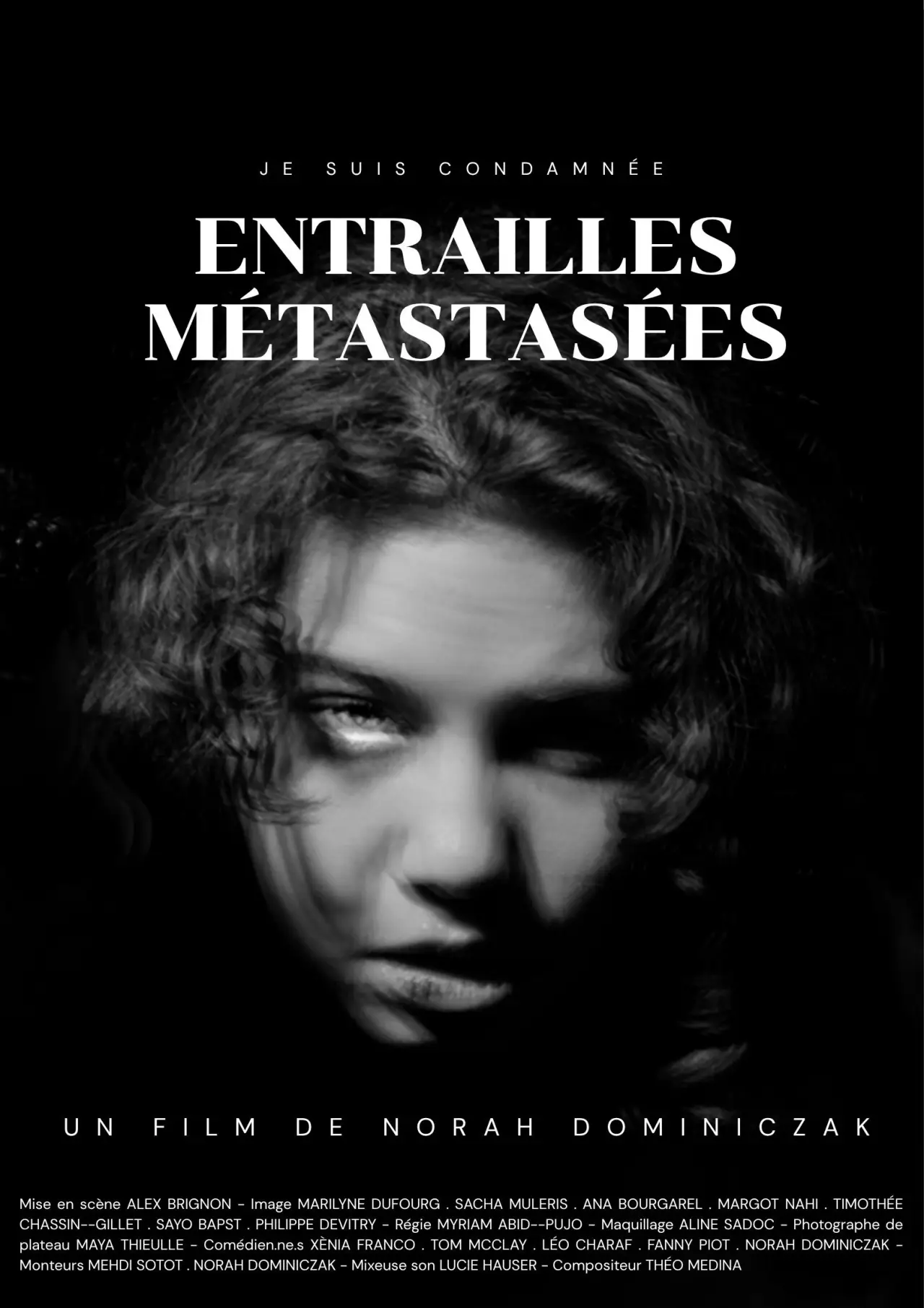 Movie poster "Metastasized Entrails"