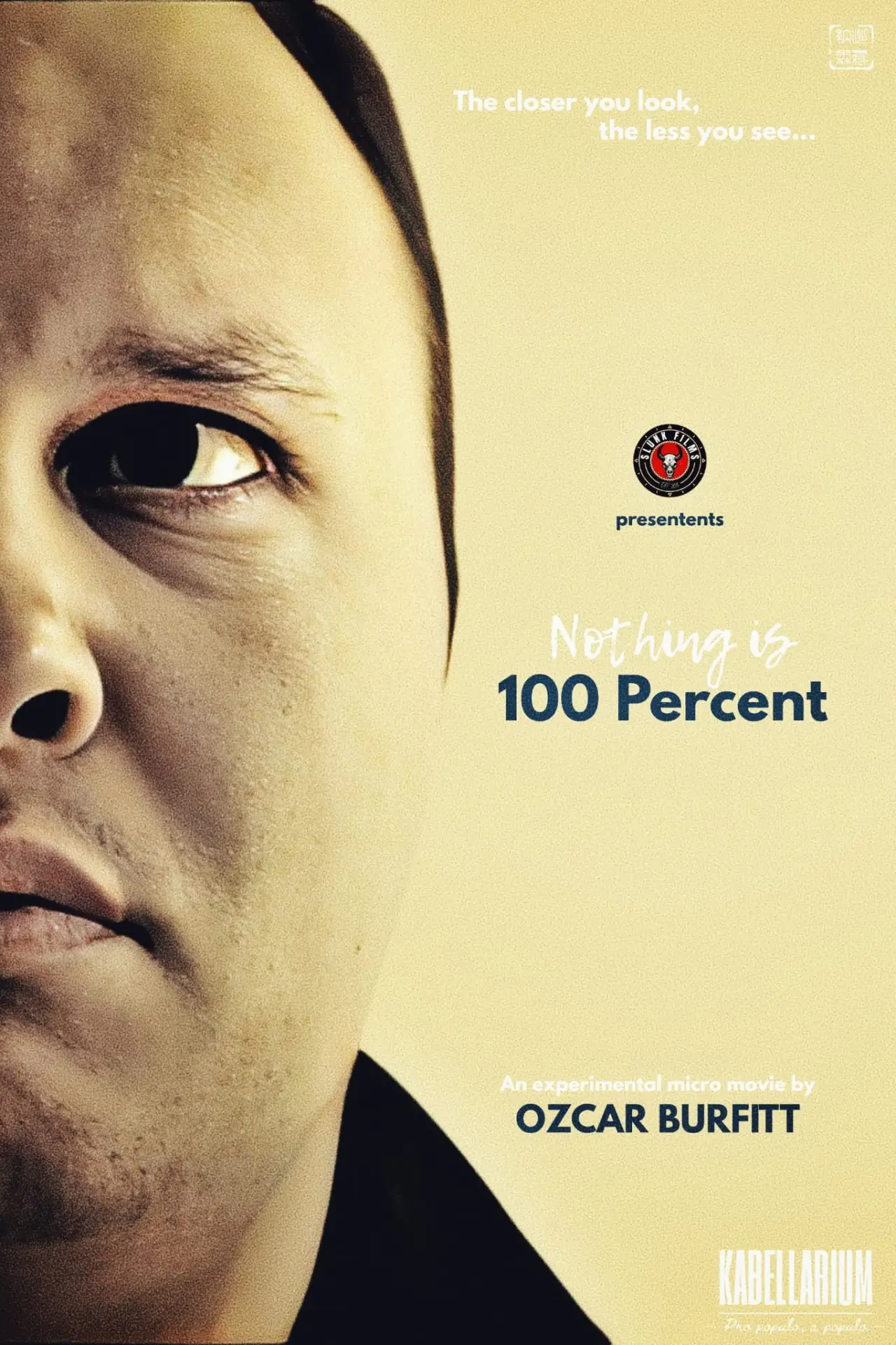 Movie poster "Nothing is 100 Percent"