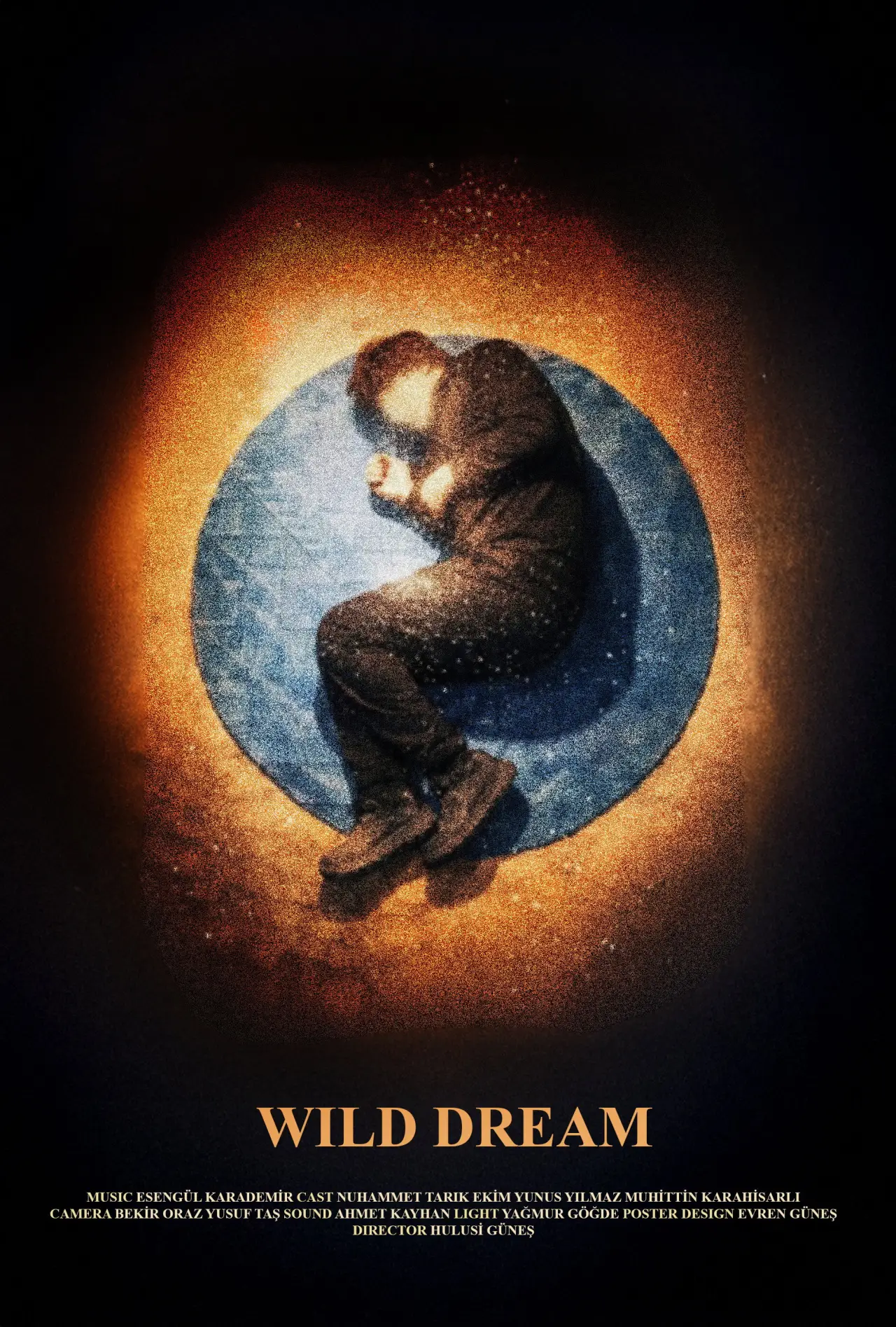 Movie poster "Yaban Düşü"