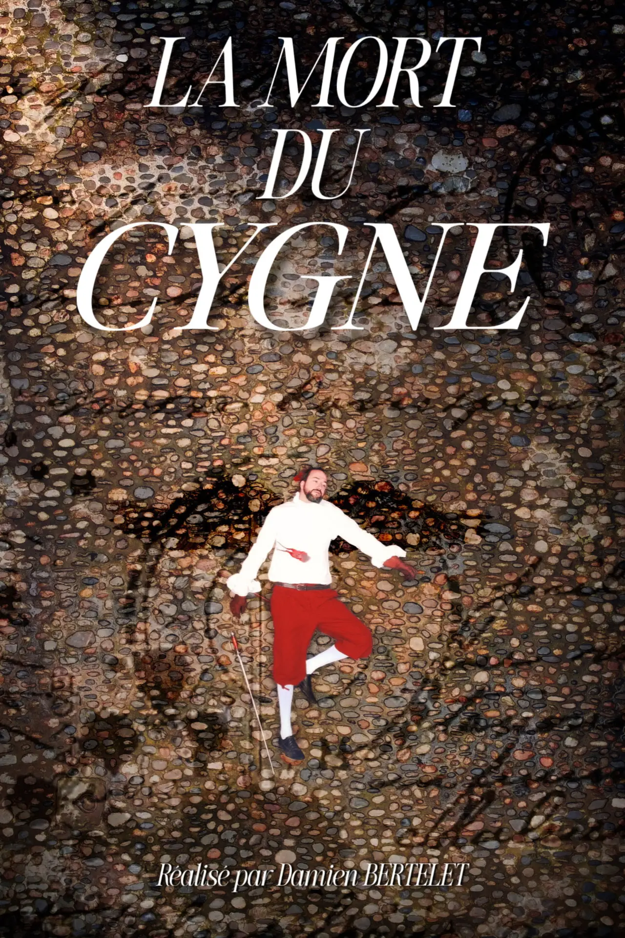 Movie poster "La Mort du Cygne"