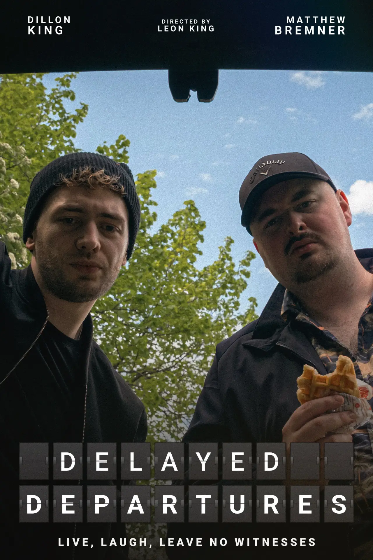 Movie poster "Delayed Departures"