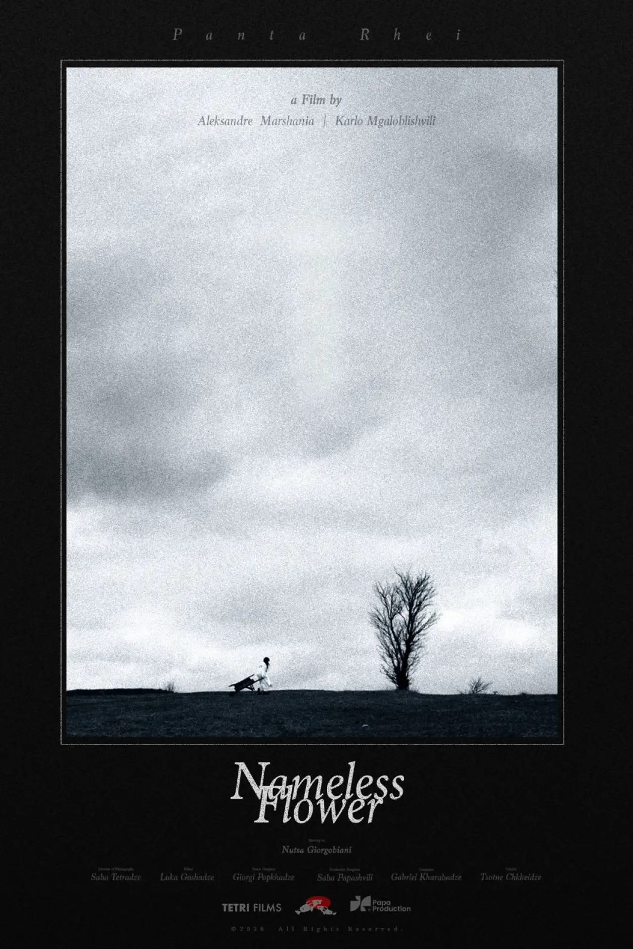 Movie poster "Nameless Flower"