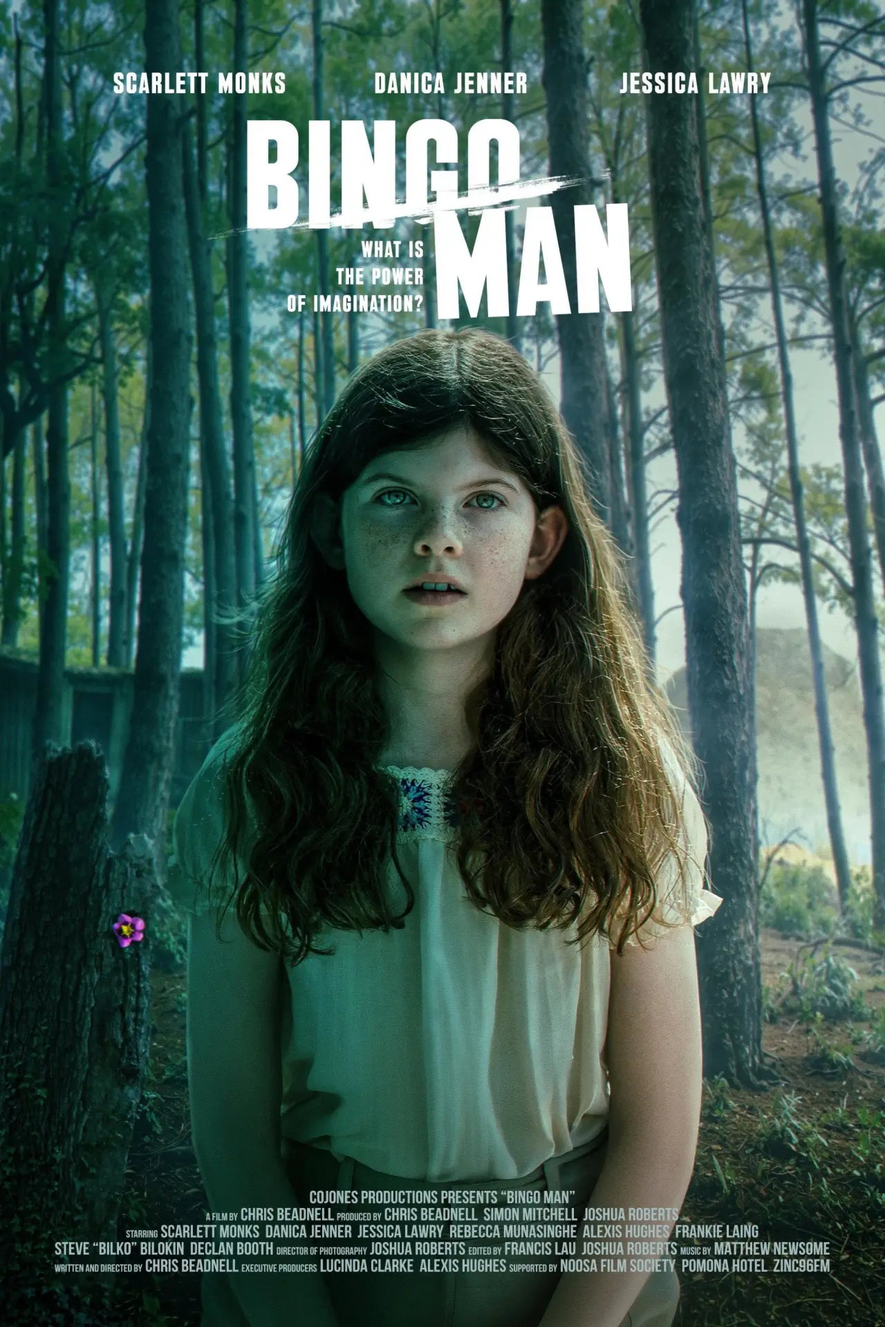 Movie poster "Bingo Man"
