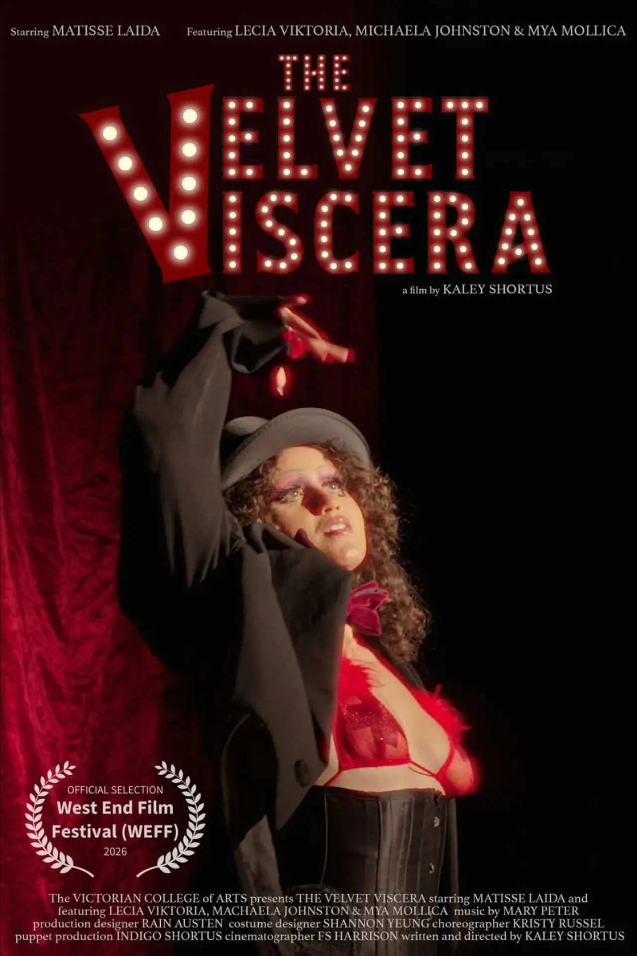 Movie poster "The Velvet Viscera"