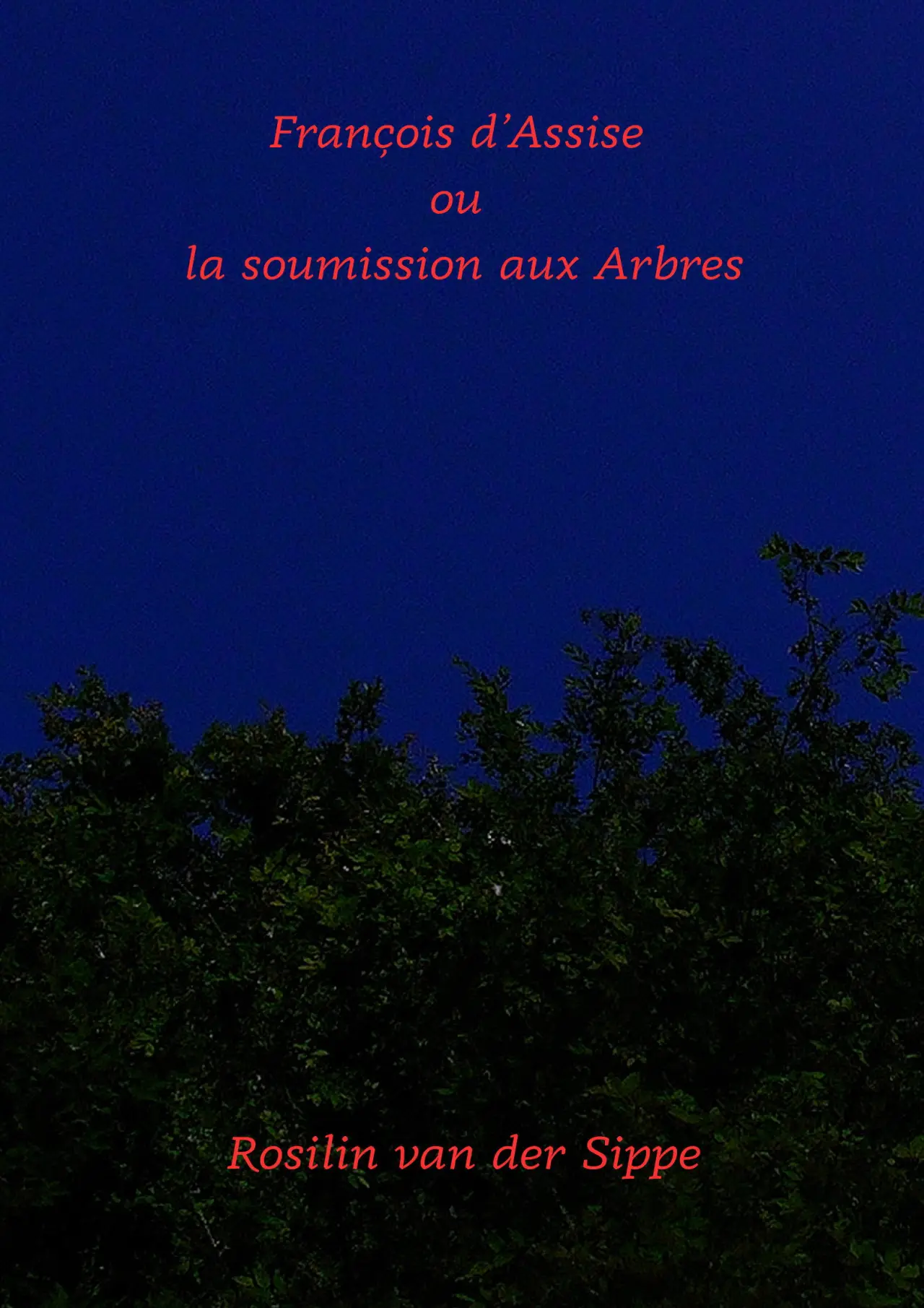 Movie poster "François d