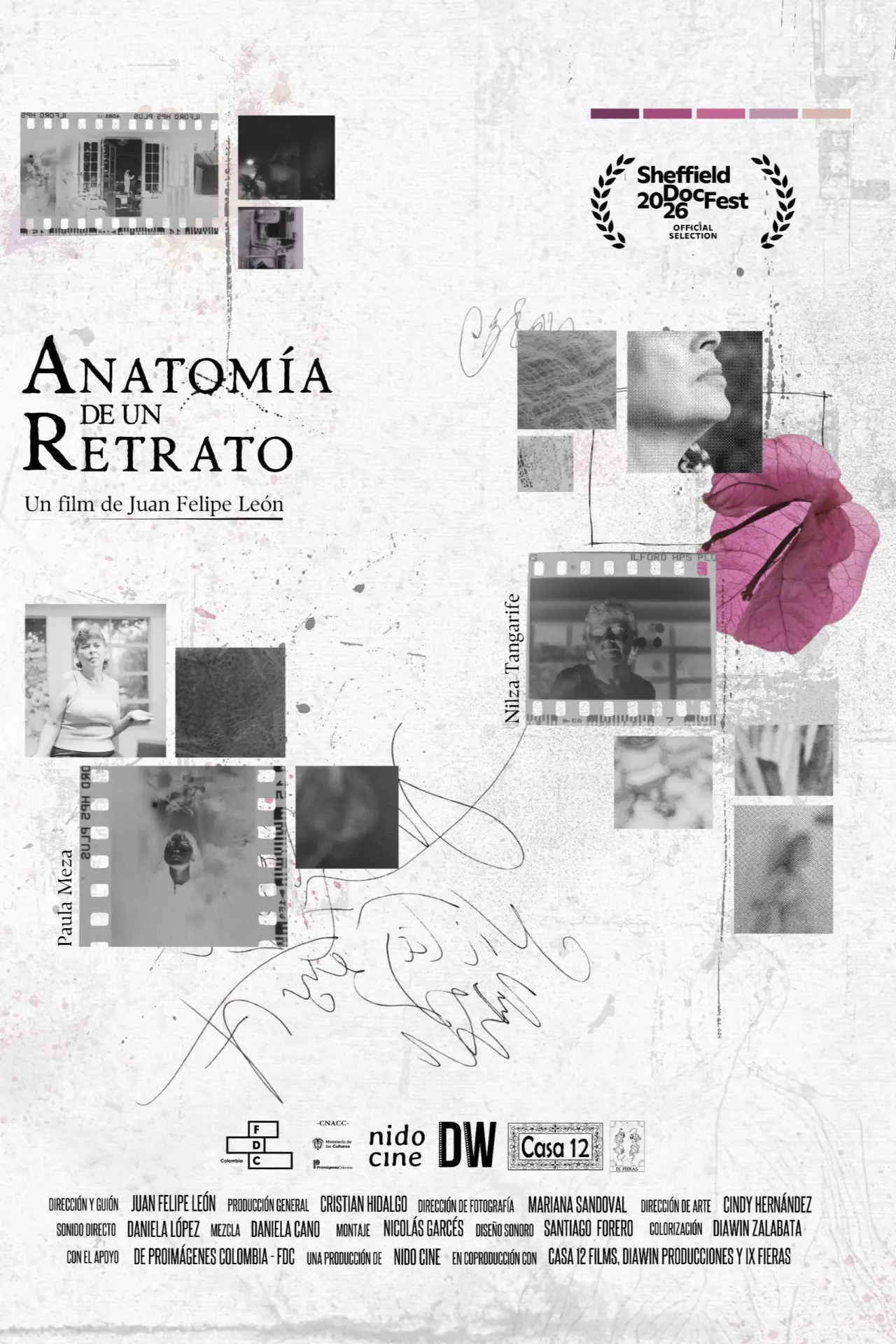 Movie poster "Anatomía de un retrato"