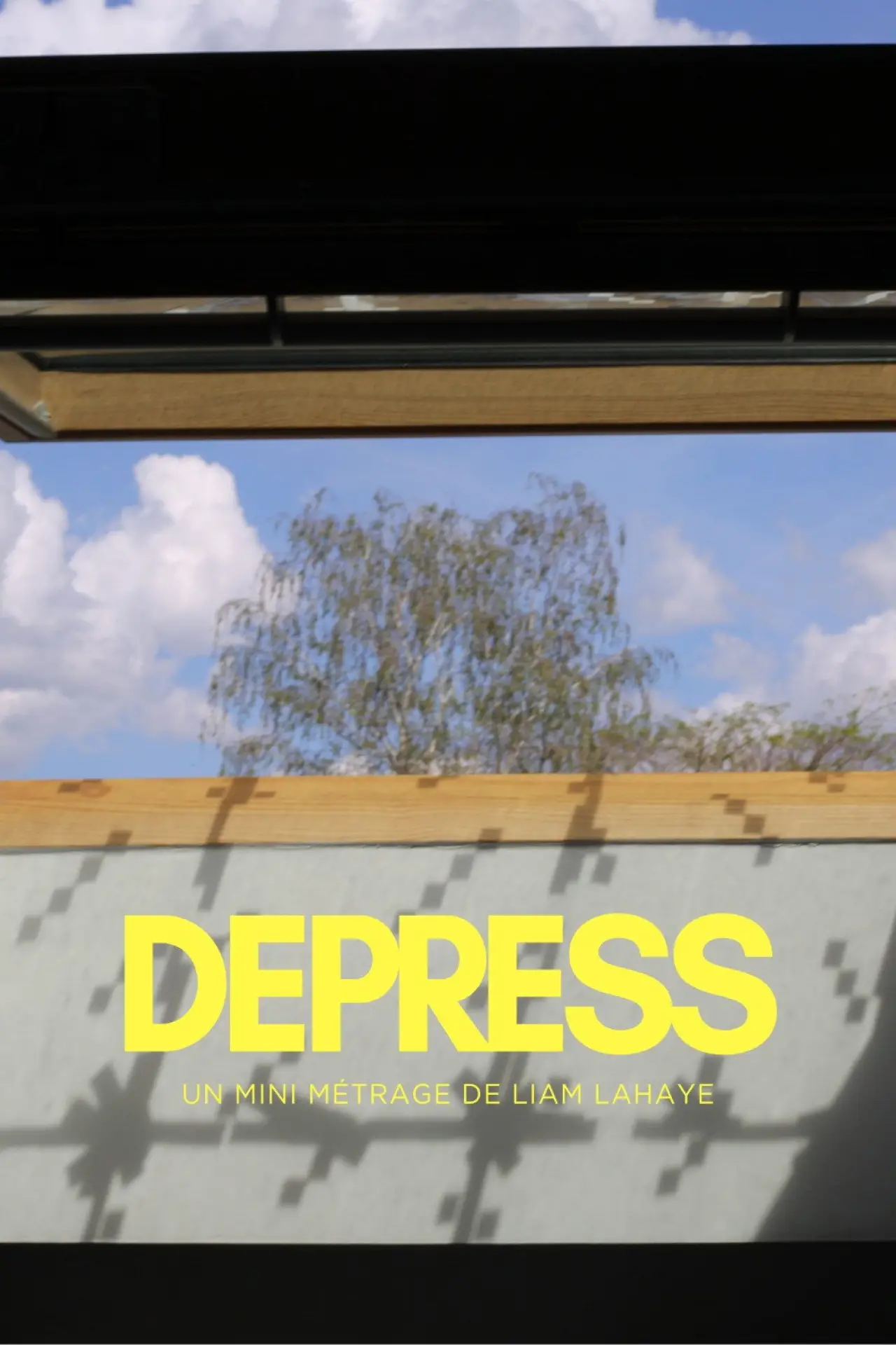 Movie poster "DEPRESS"